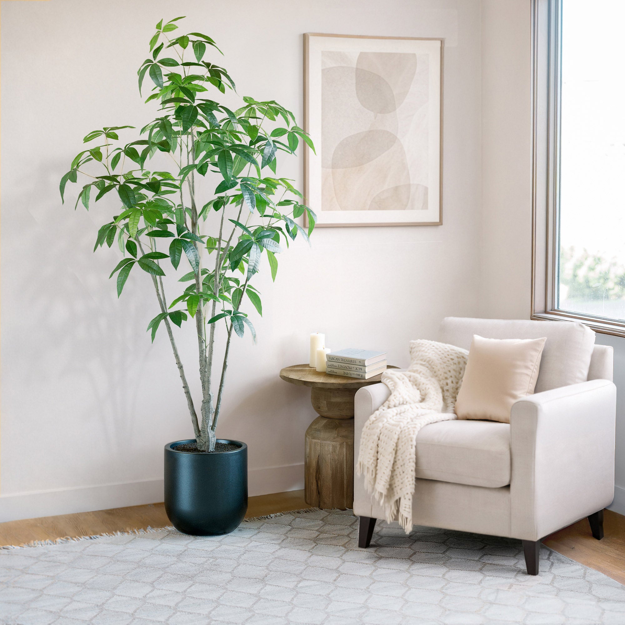 Faux 6.5' Schefflera Tree