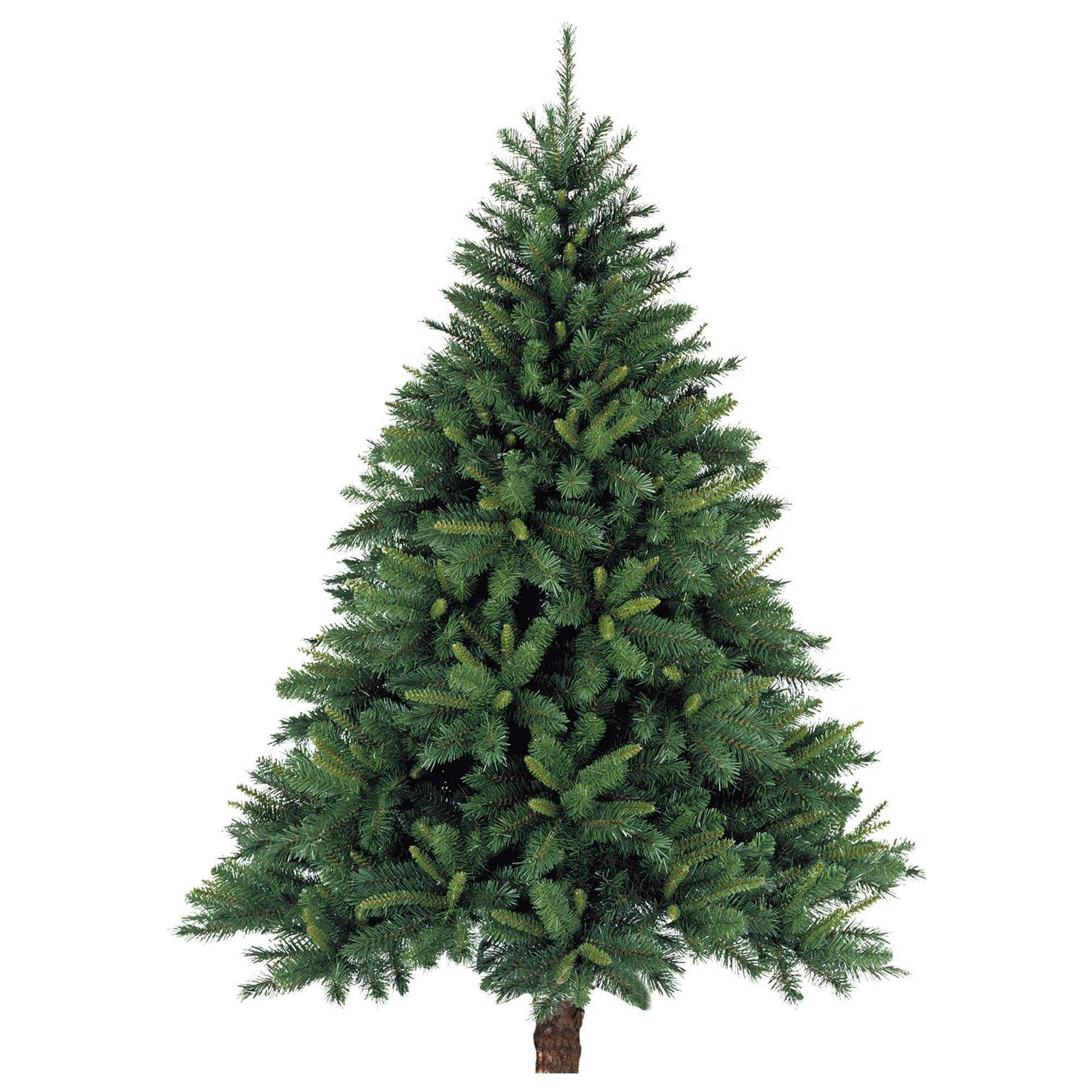 6'-7' Fresh Cut Live Fraser Fir Christmas Tree