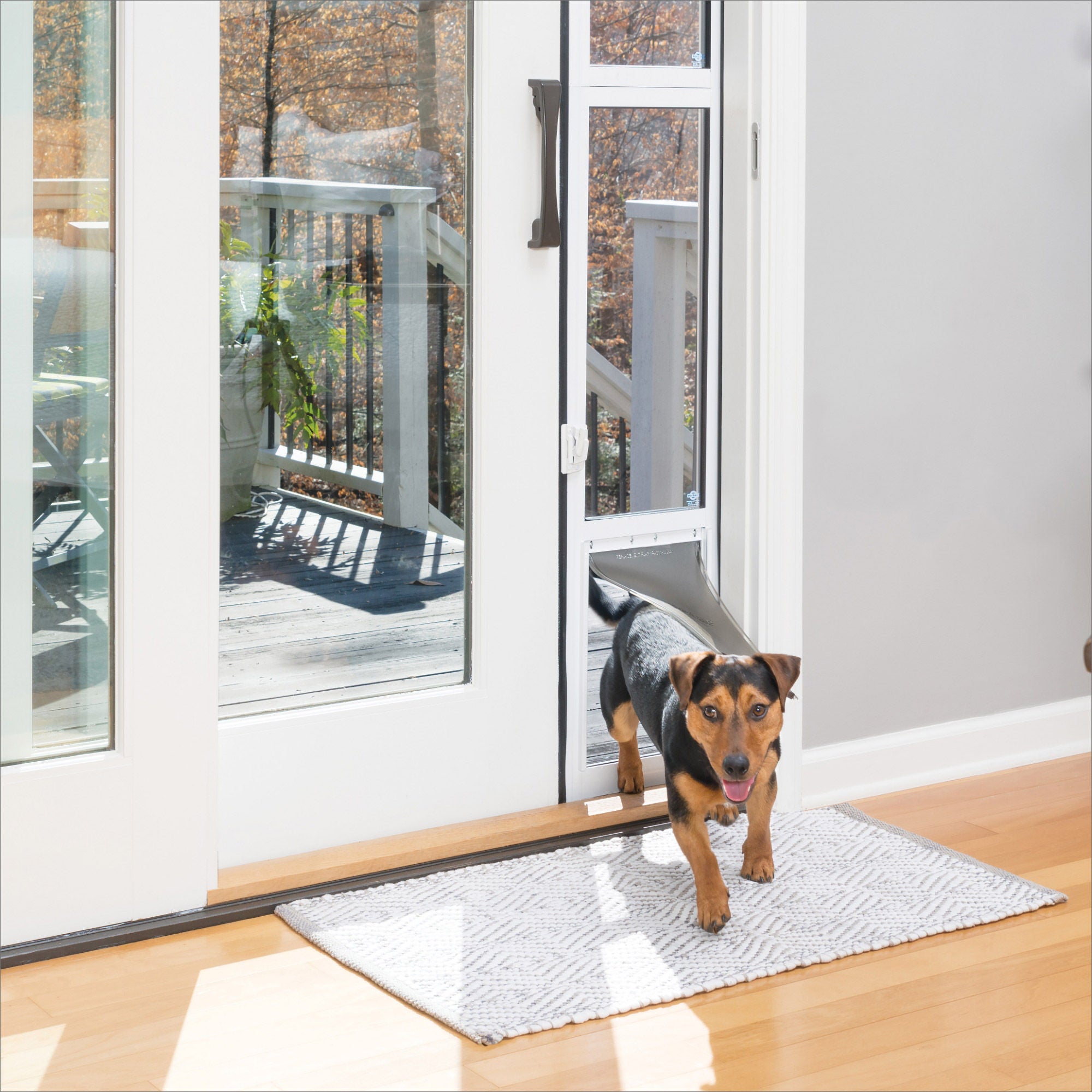 PetSafe Sliding Glass Pet Door, 2-Piece, Large