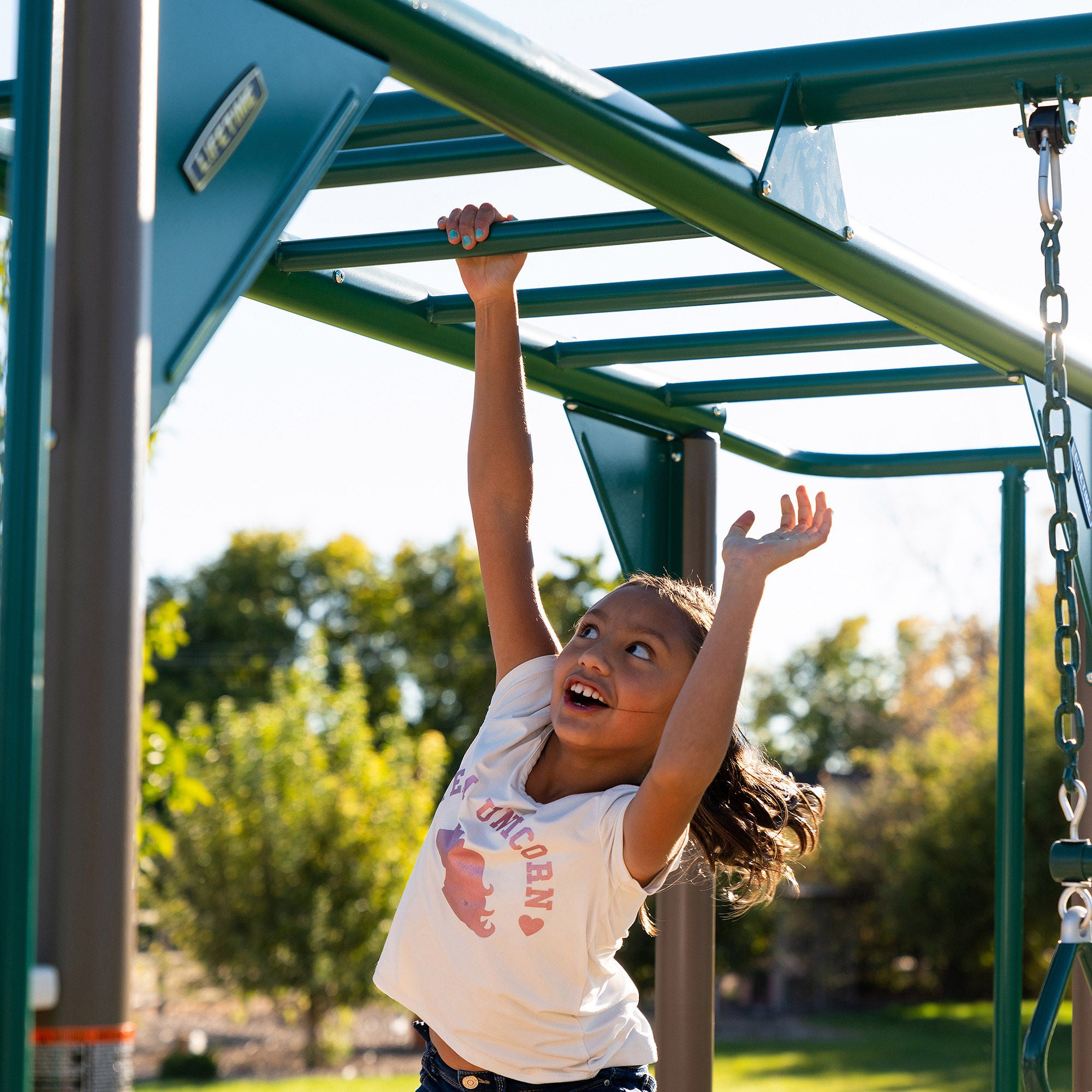 Lifetime Double Slide Deluxe Swing Set- Do It Yourself