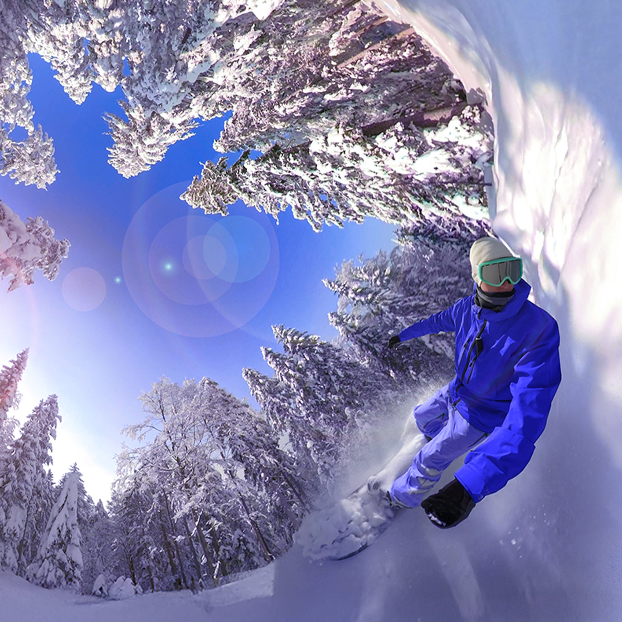 Adobe Photoshop Elements and Premiere Elements Software - Mac OS, Windows (E-delivery)