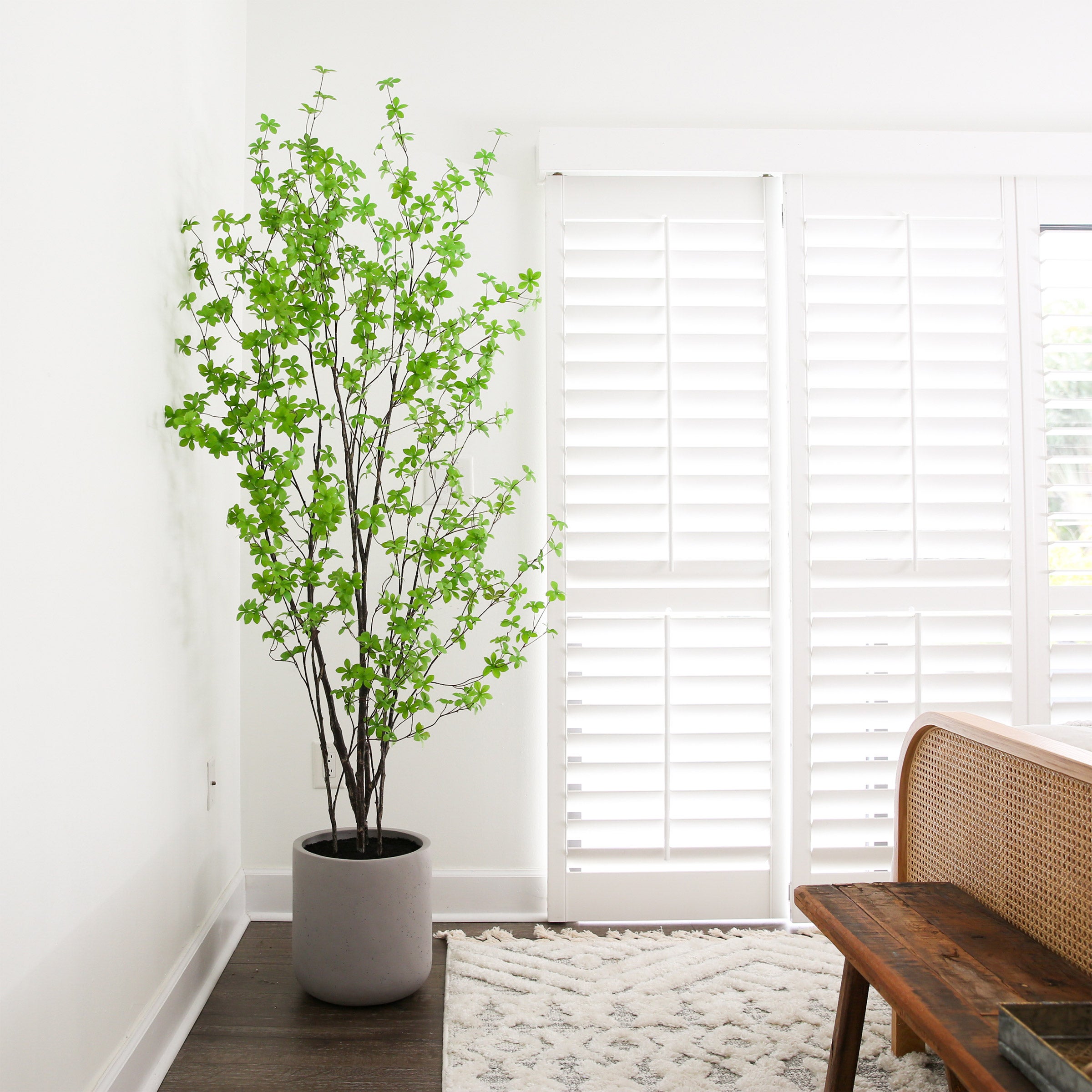 Faux 7’ Enkianthus Tree