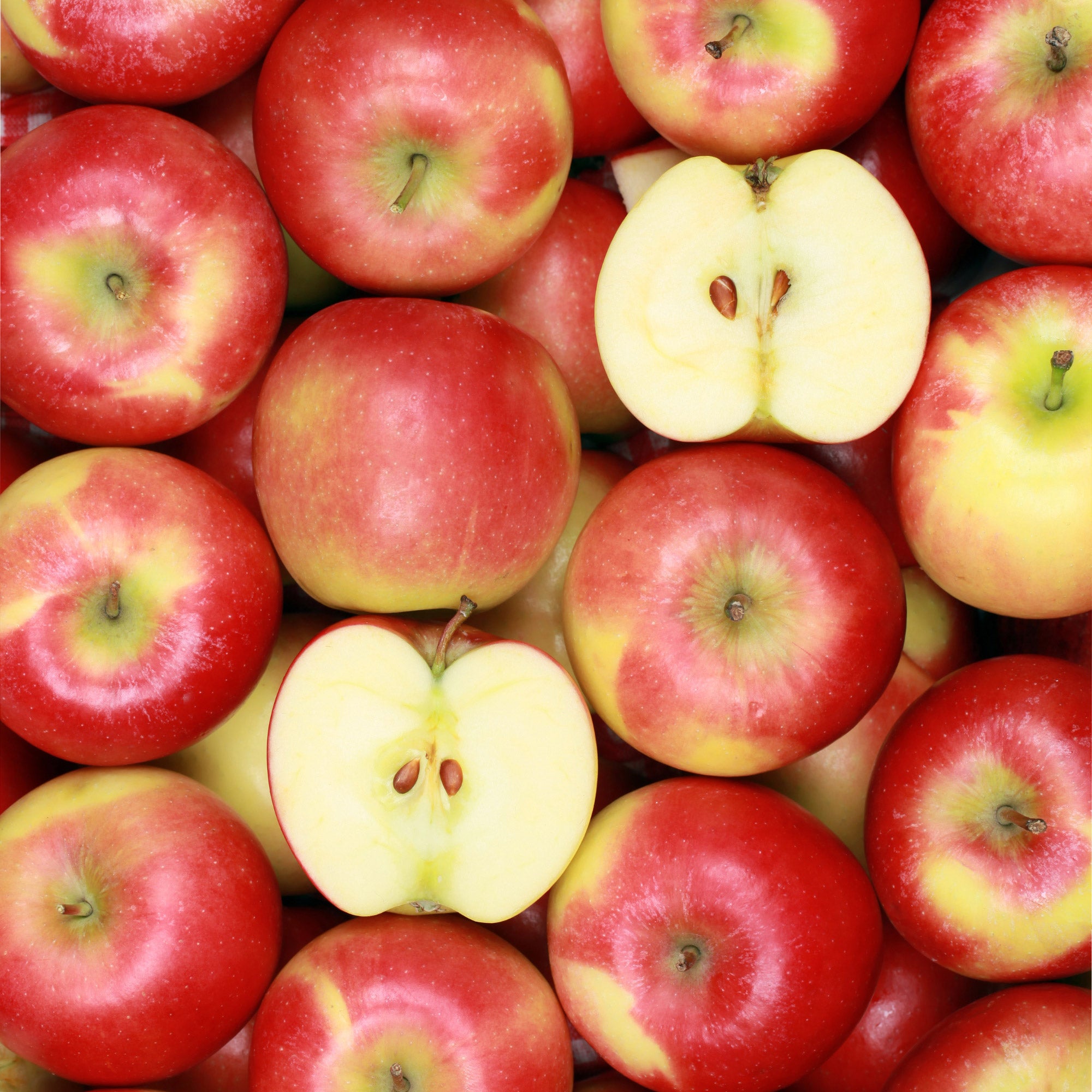 Alder & Oak EZ- Pick Apple Tree