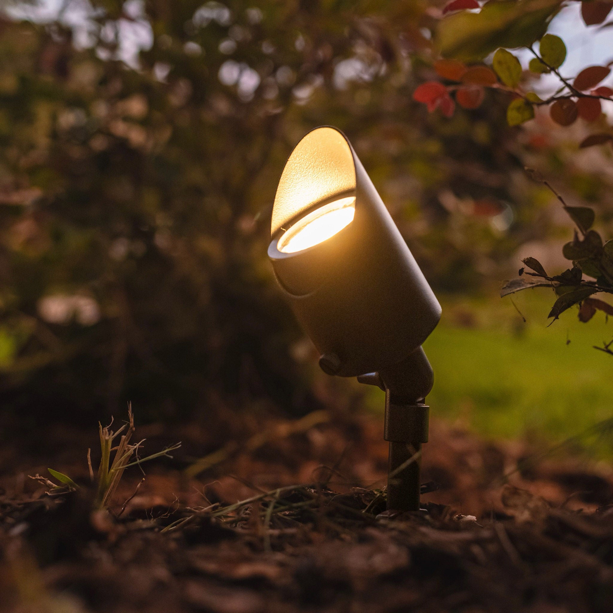 VOLT Landscape Lighting 9-piece Path & Area Light LED Starter Kit