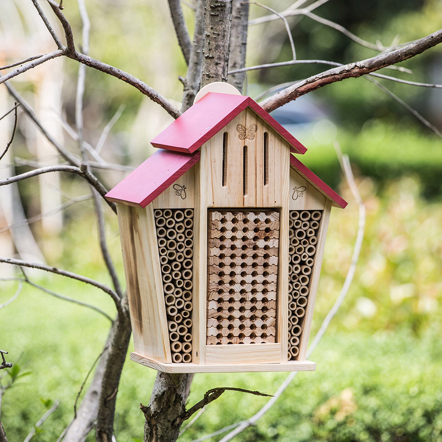 Native Bee House