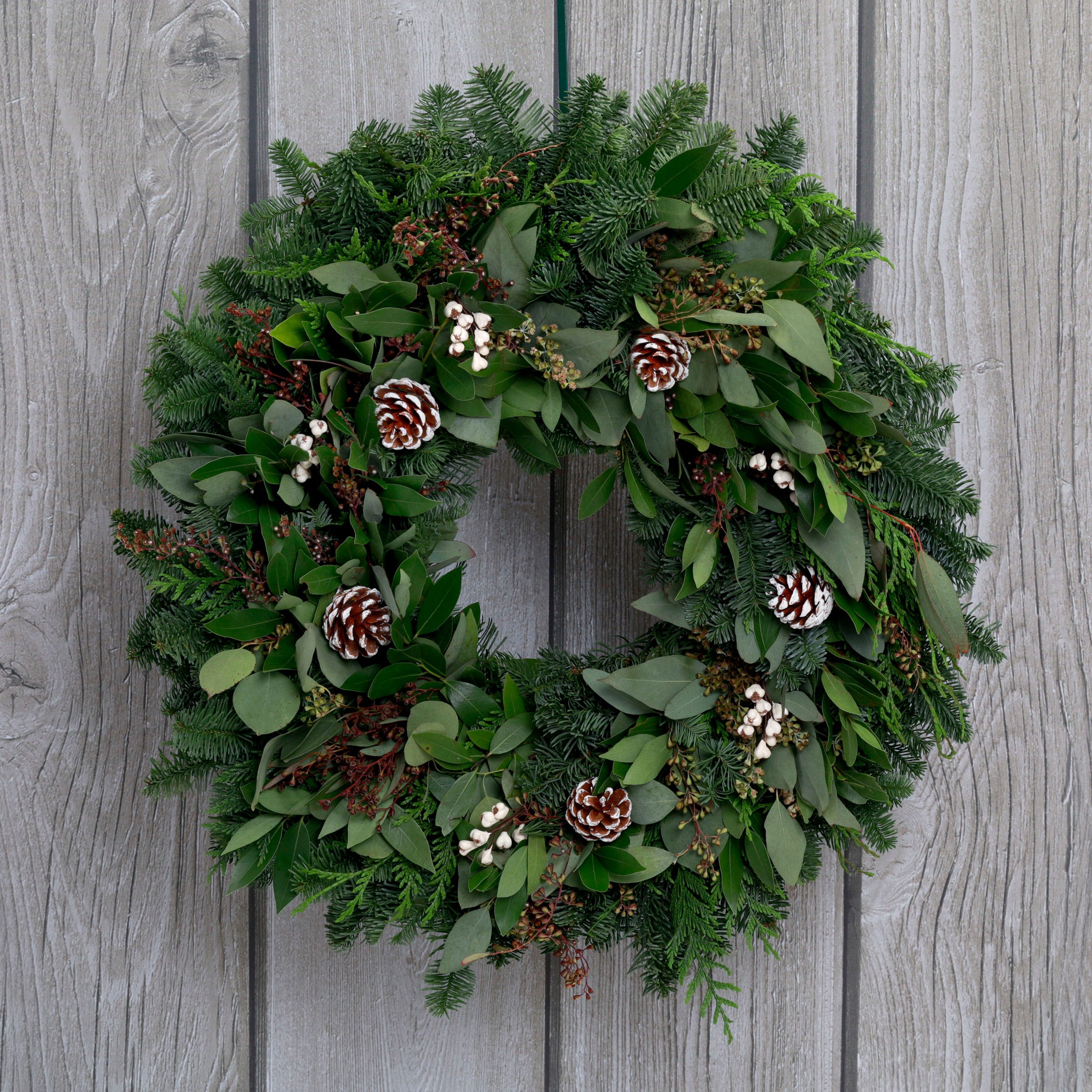24" Fresh Noble Seeded Eucalyptus Bay Leaf Wreath