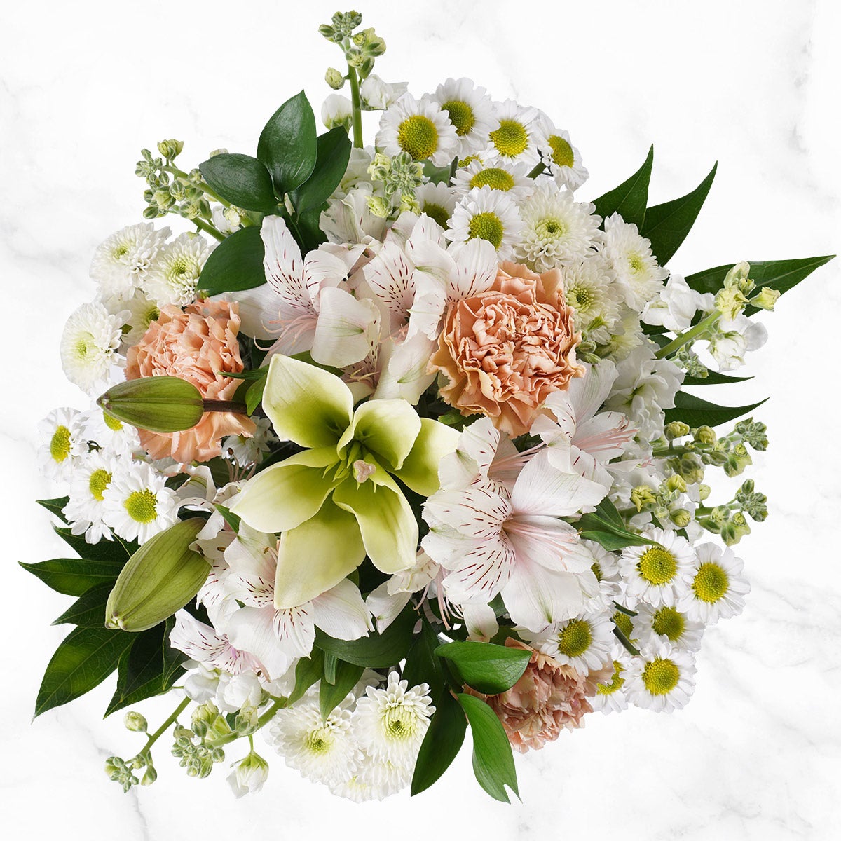 Mountain Bouquet Event Collection, 10-count