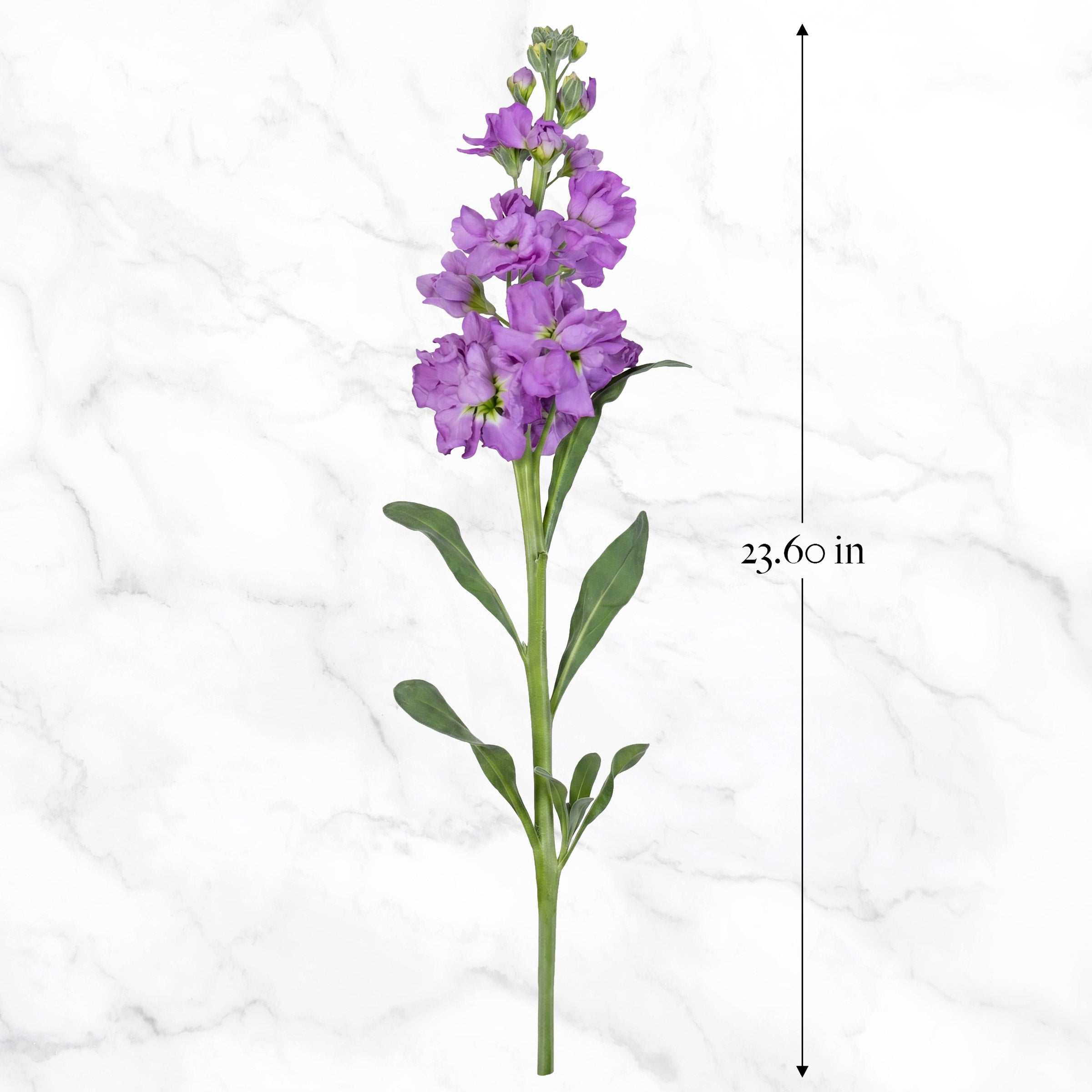 Bulk Flowers Stock, 100-Stems