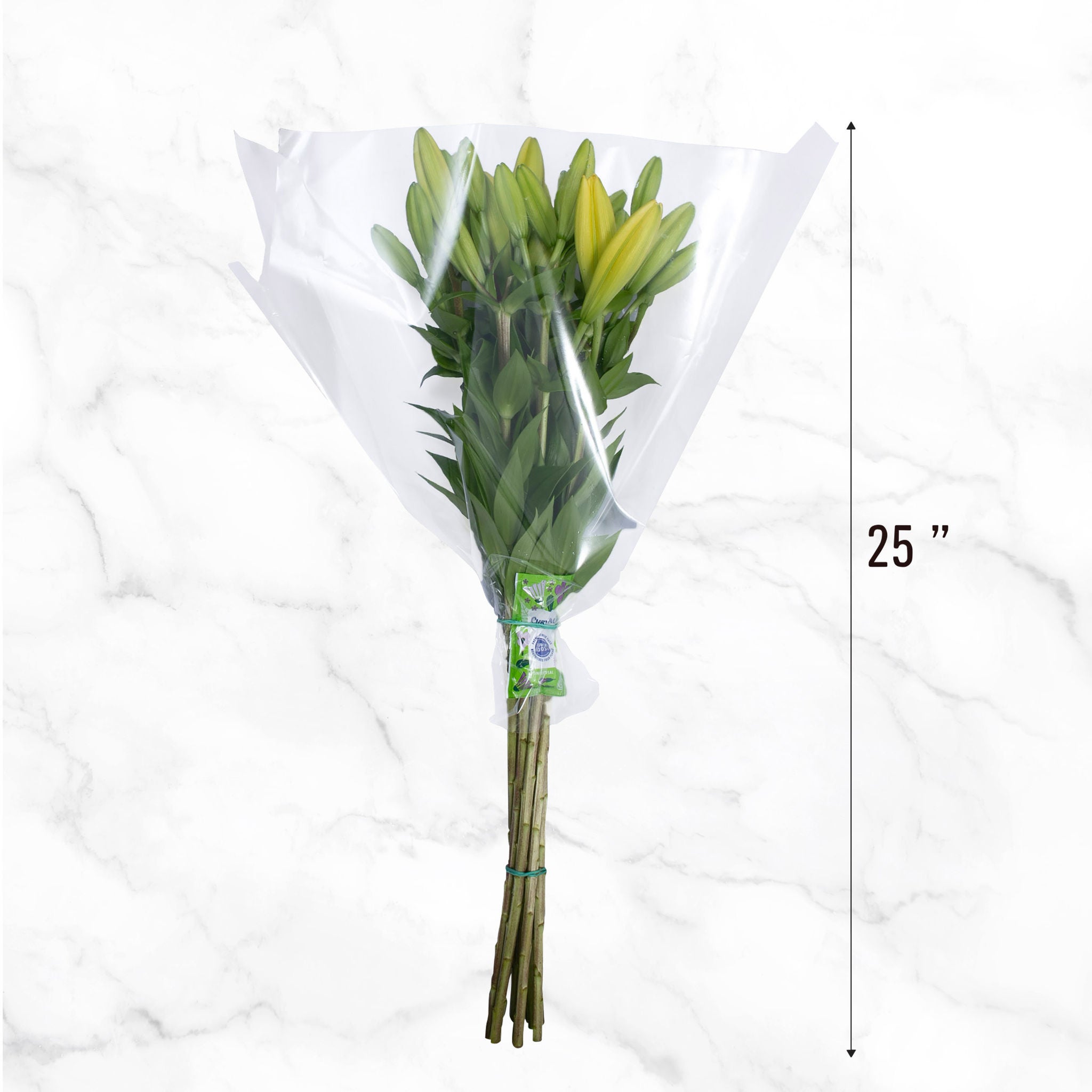 40-stem Asiatic Lilies