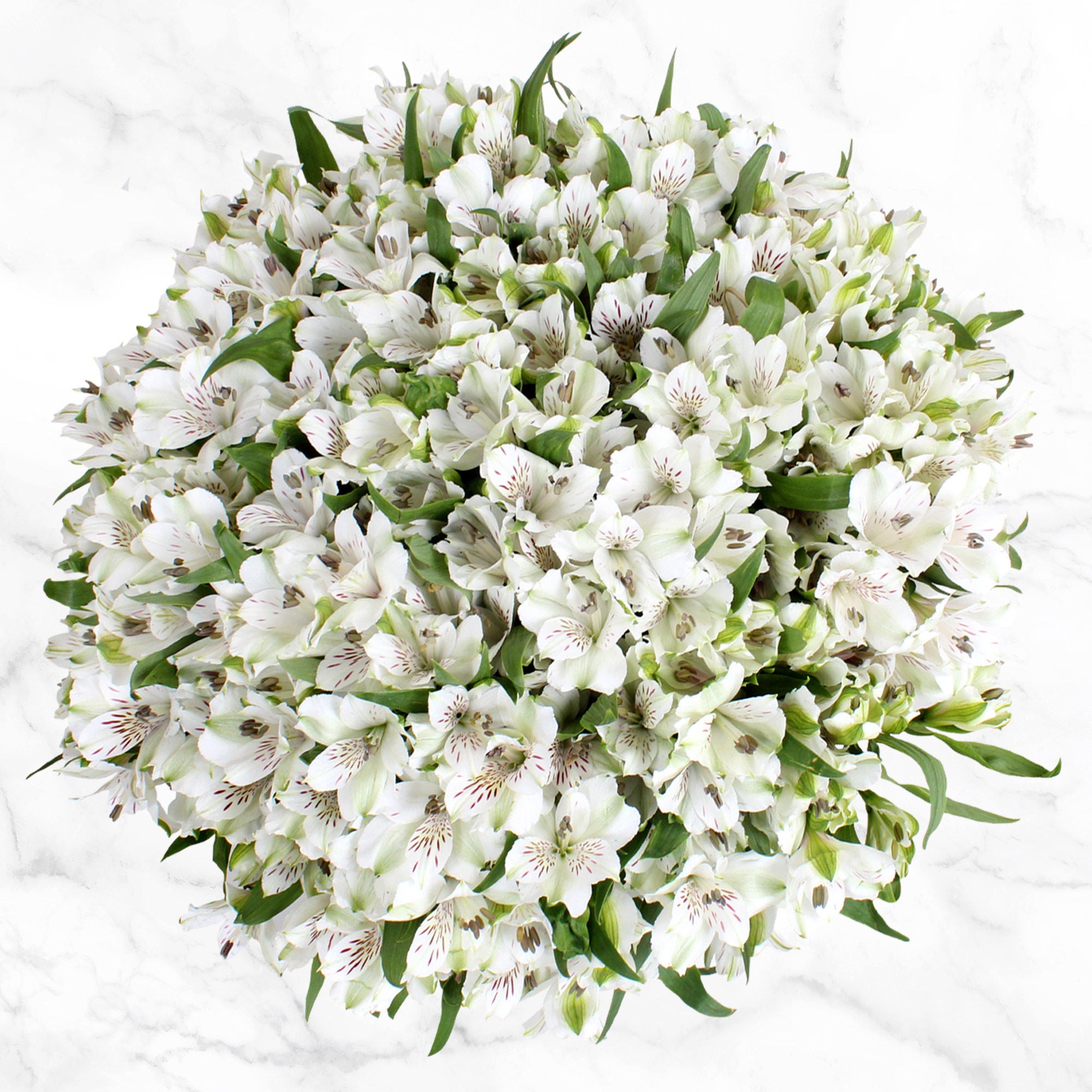 80-stem Alstroemeria