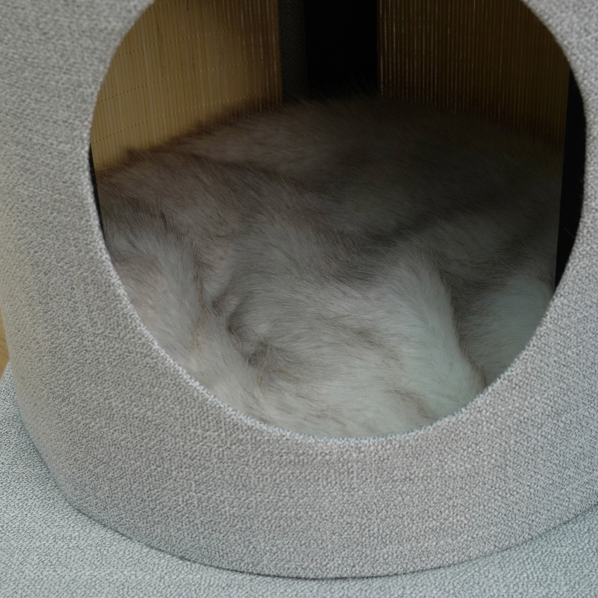 Catry Cohos 64" Cat Tree with High Back Sofa