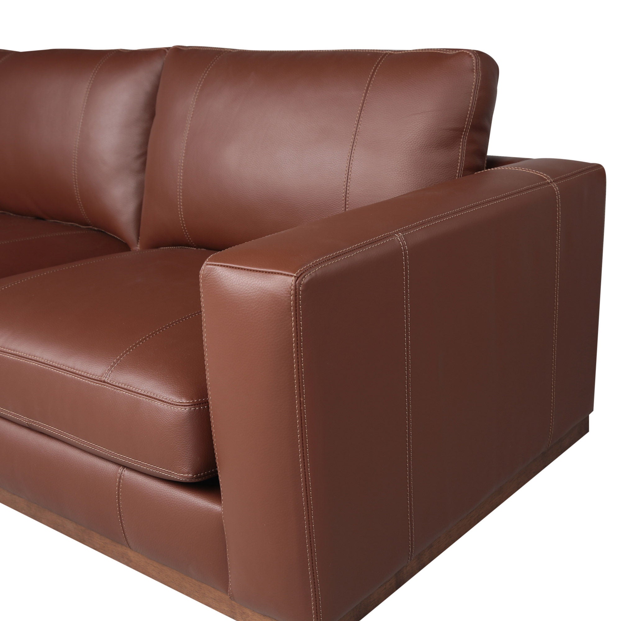 Durant Top Grain Leather Sectional