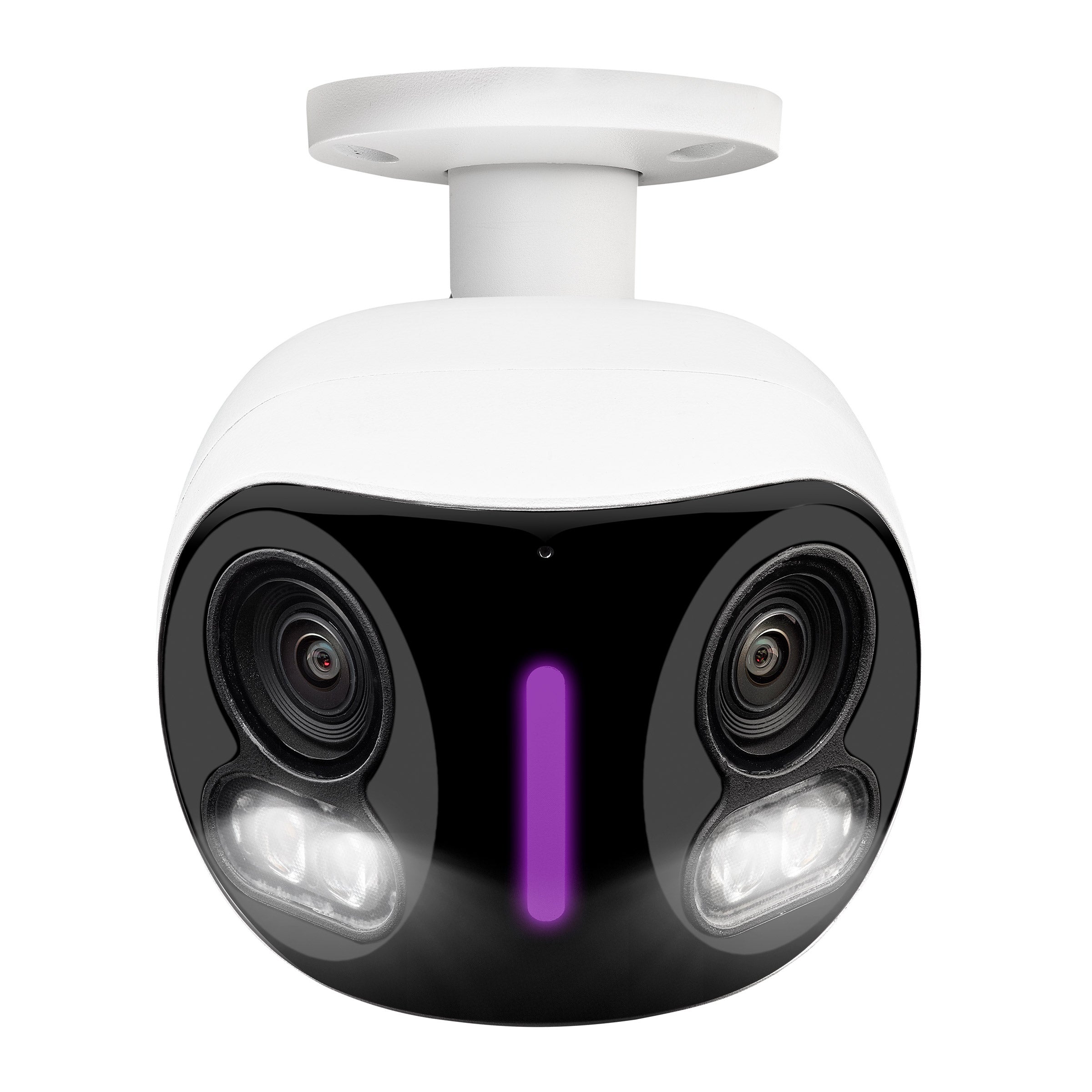 Lorex Fusion NVR with Two 4K 180° Panoramic Lens and Two 4K Bullet Cameras