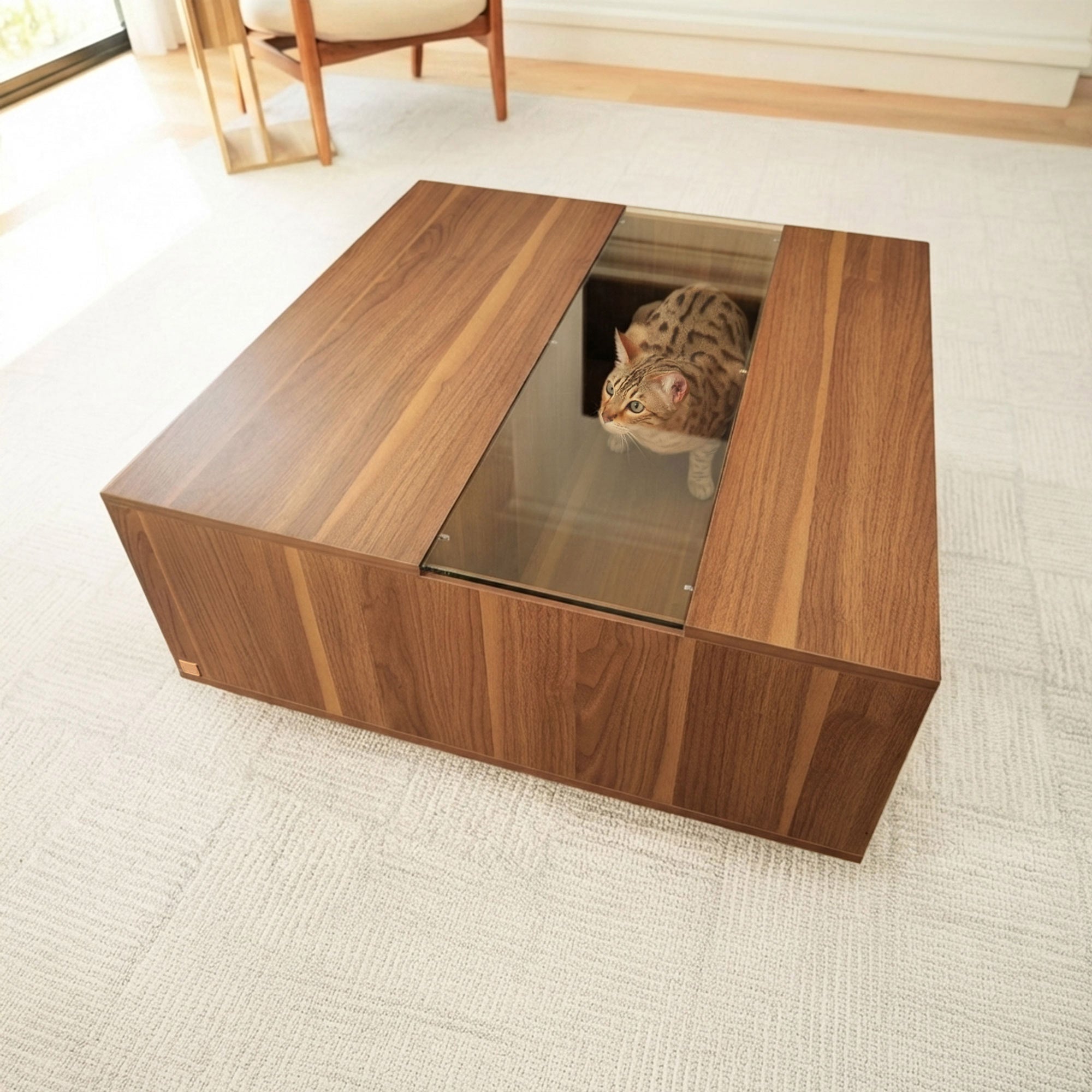 Coco Coffee Table with Hidden Pet Hideout
