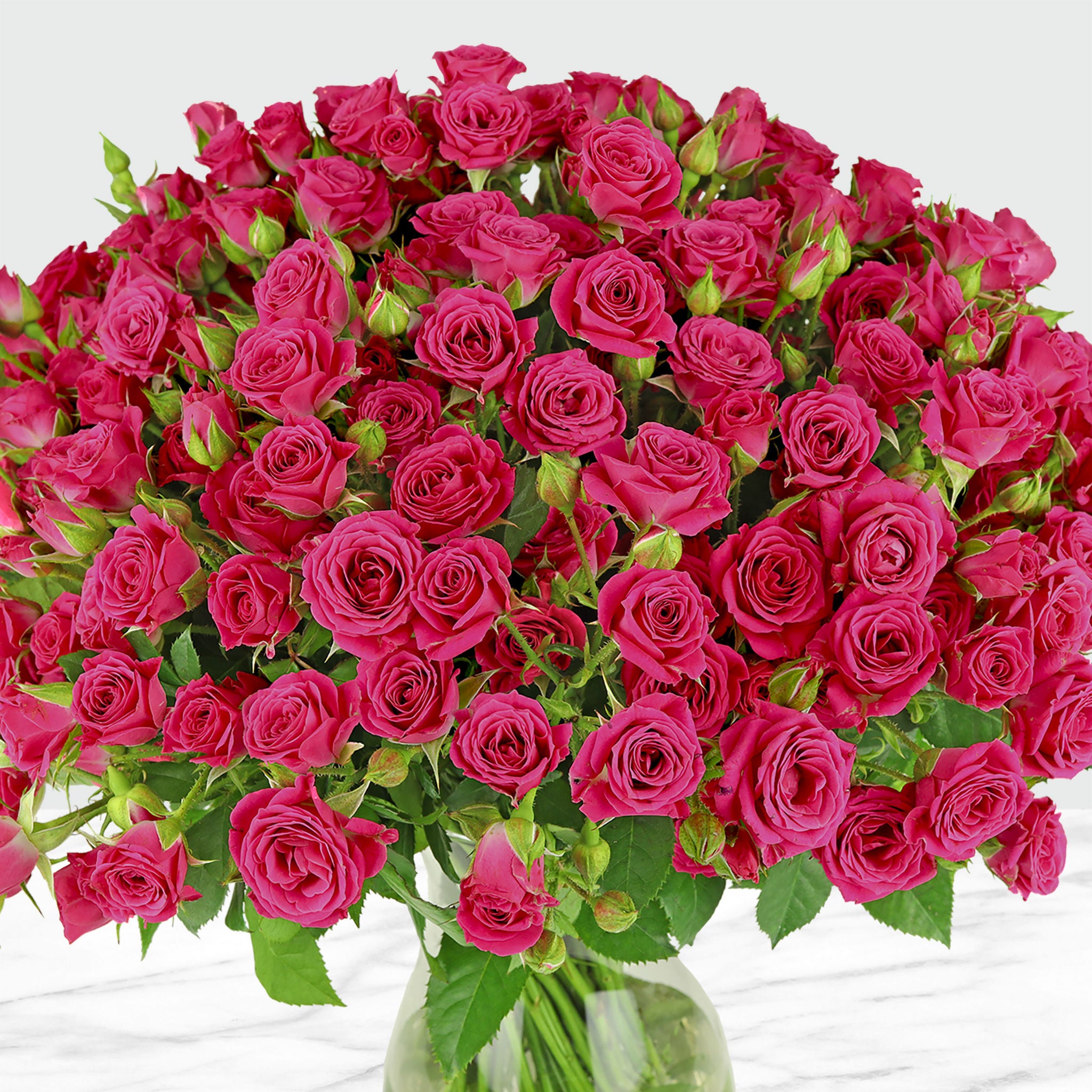 50-stem Spray Roses