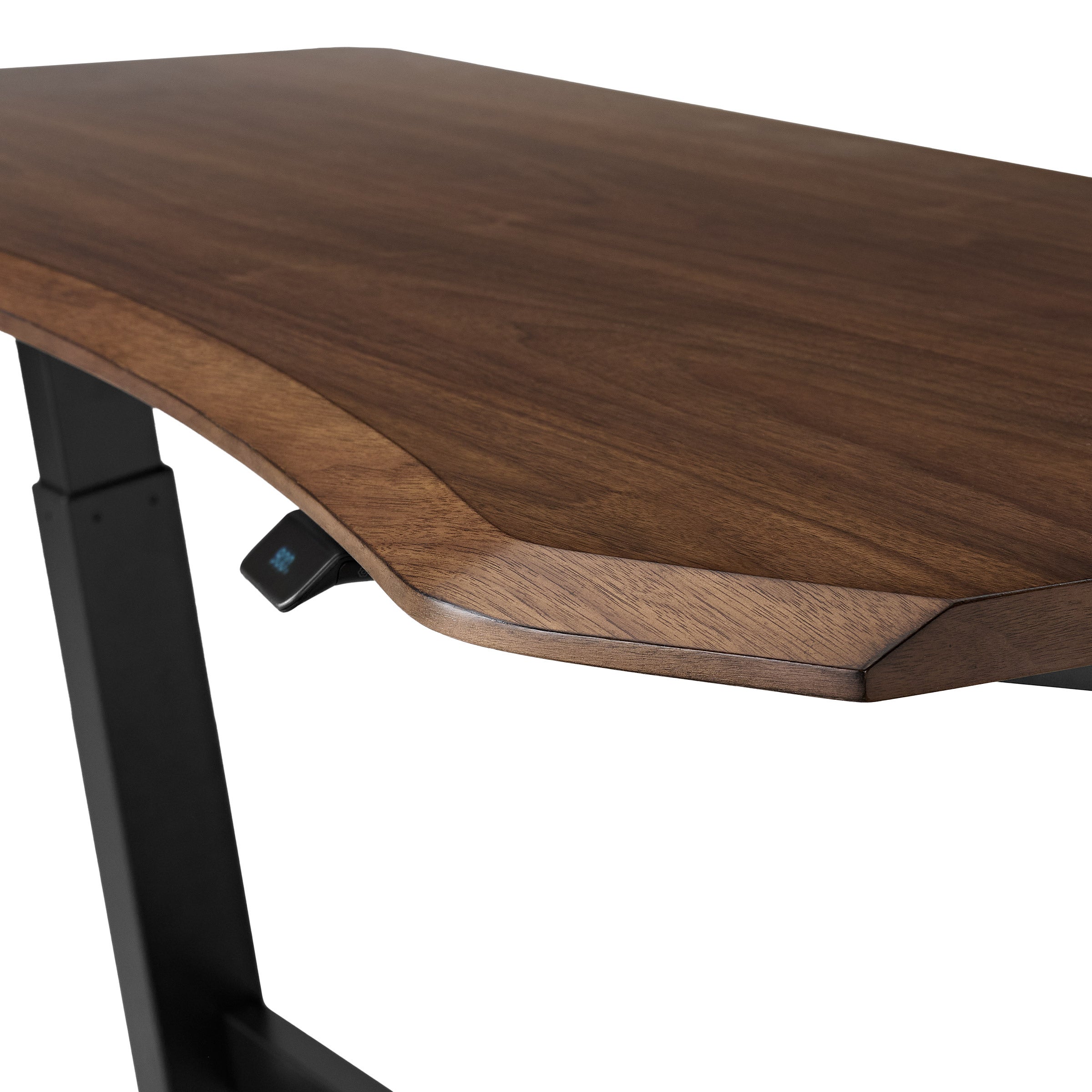 Teagan 60” Adjustable Height Desk