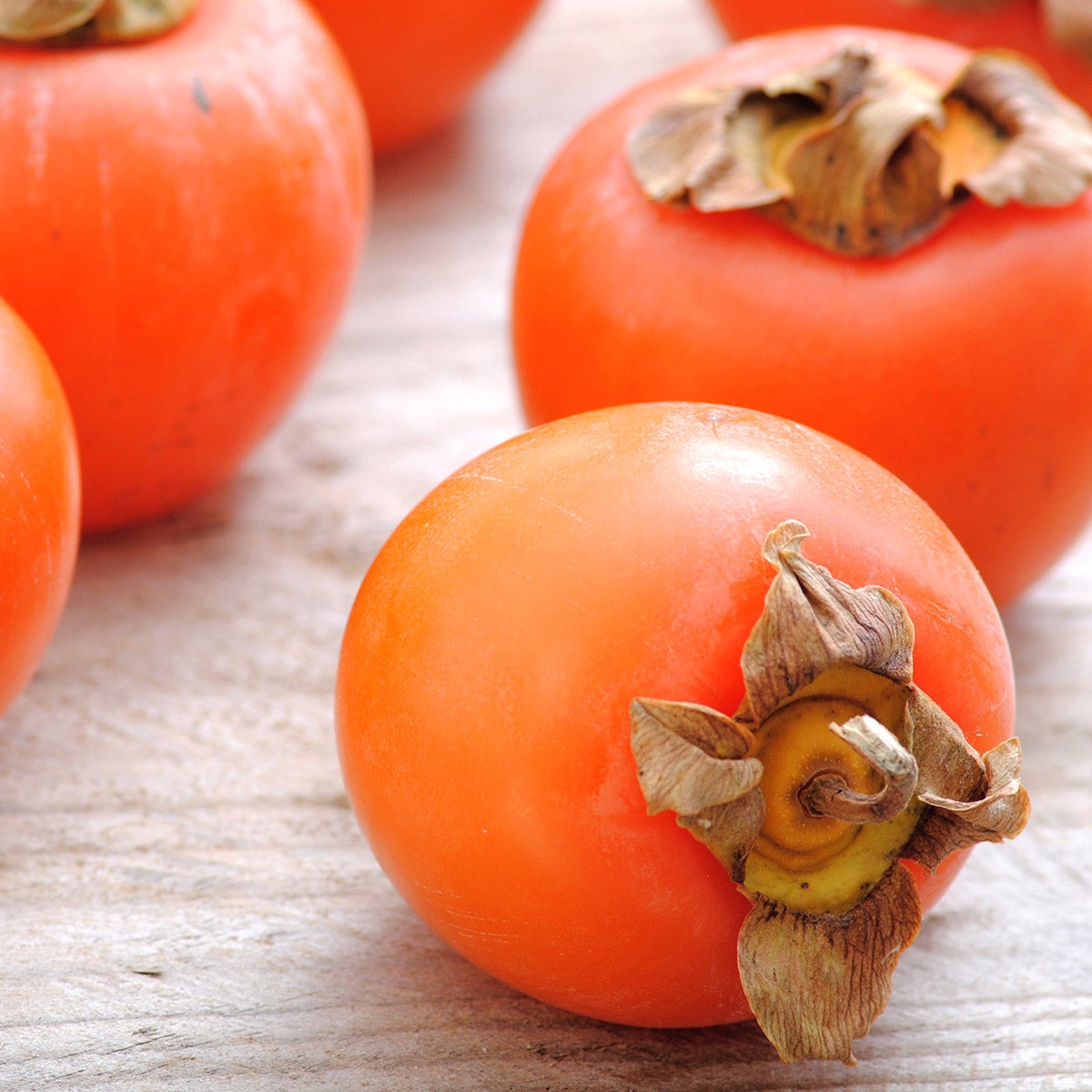 Fuyu Persimmon 5 Gallon, 2-pack
