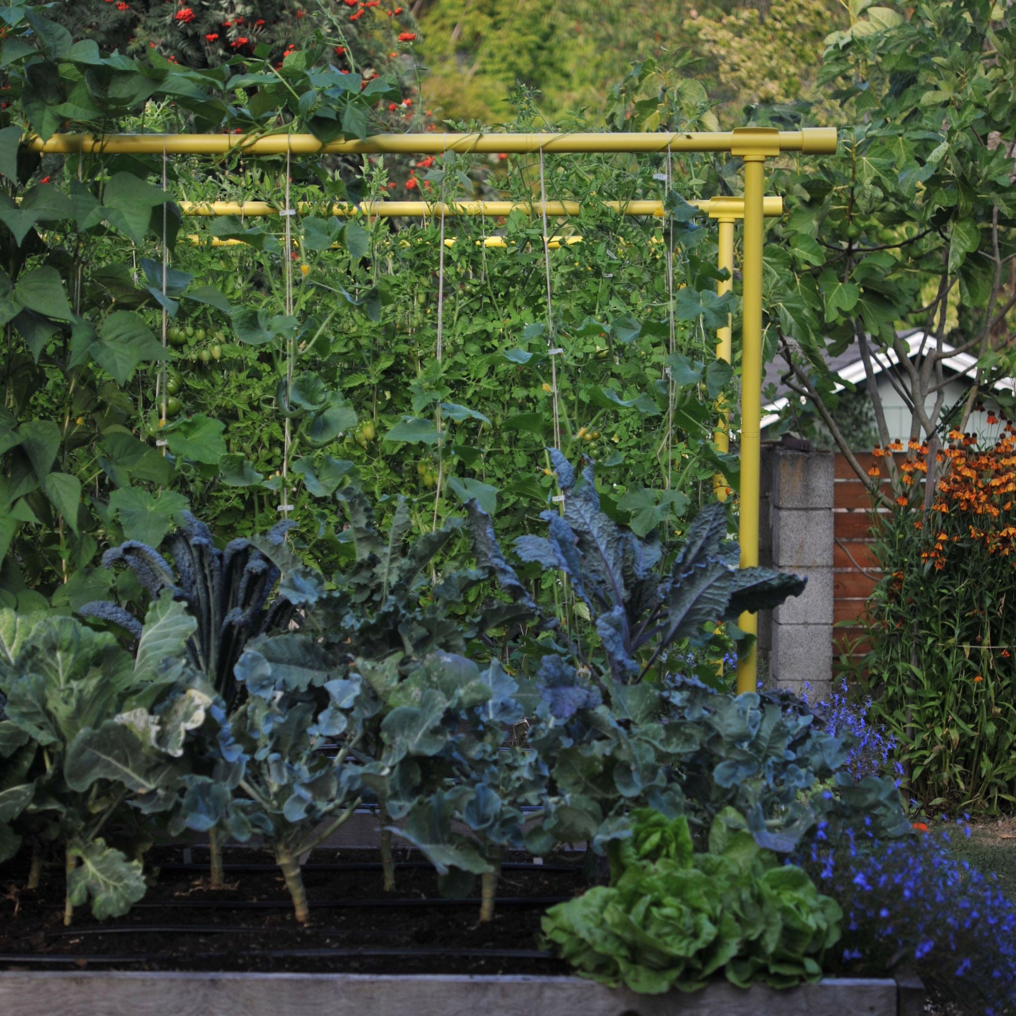 Freyr Garden Trellis Kit