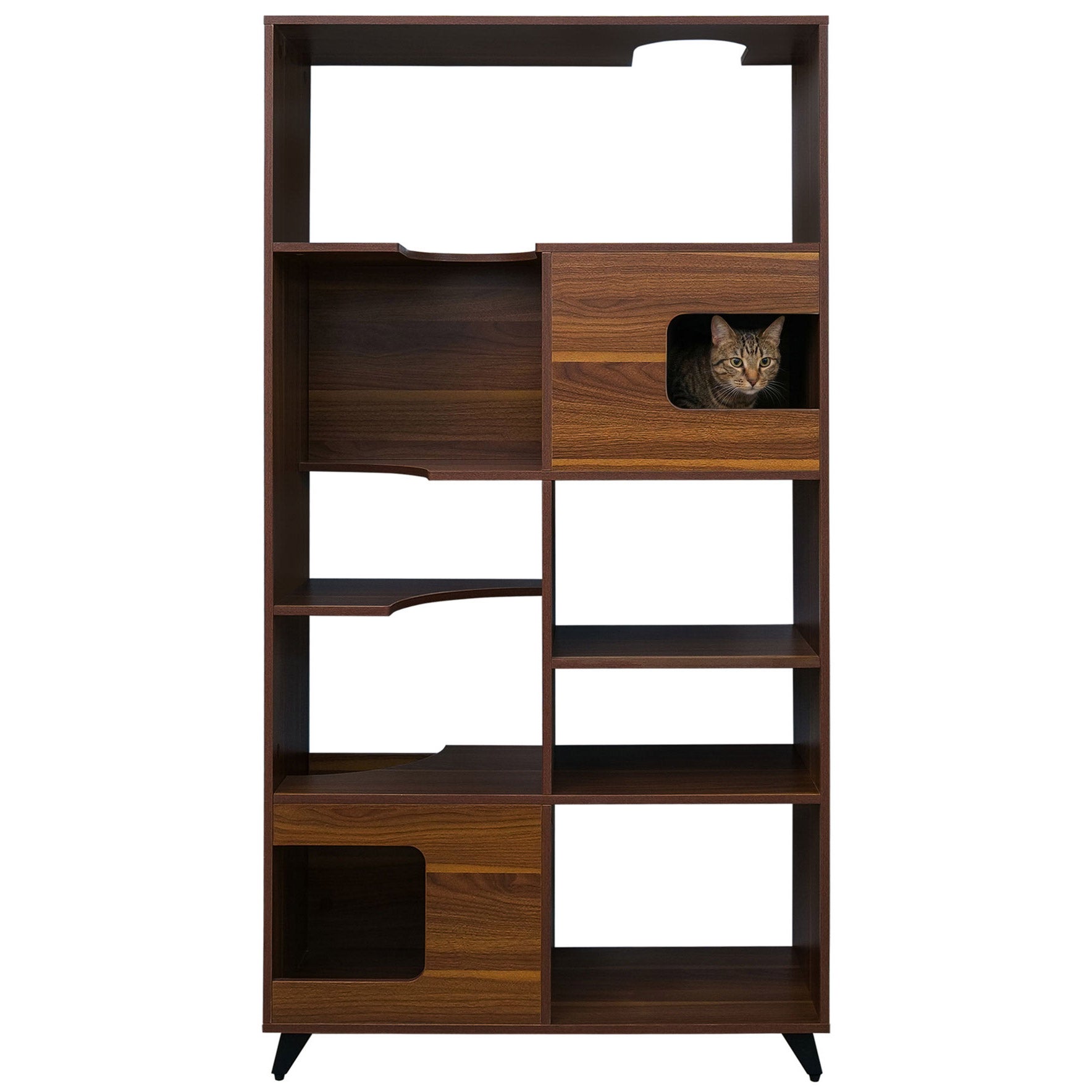 Clifford Cat Tree Bookshelf