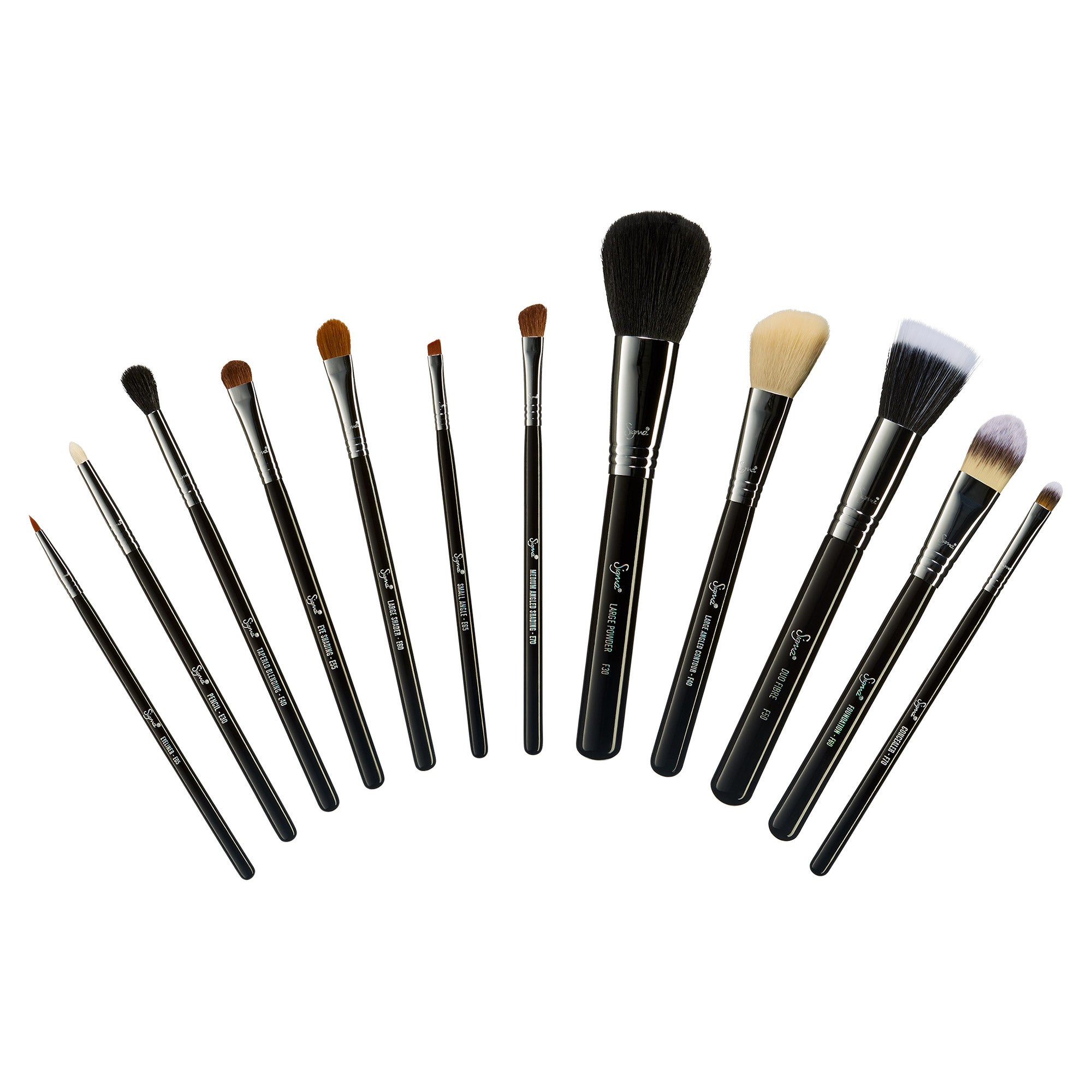Mr. Bunny Brushes Sigma Essential 12-piece Kit