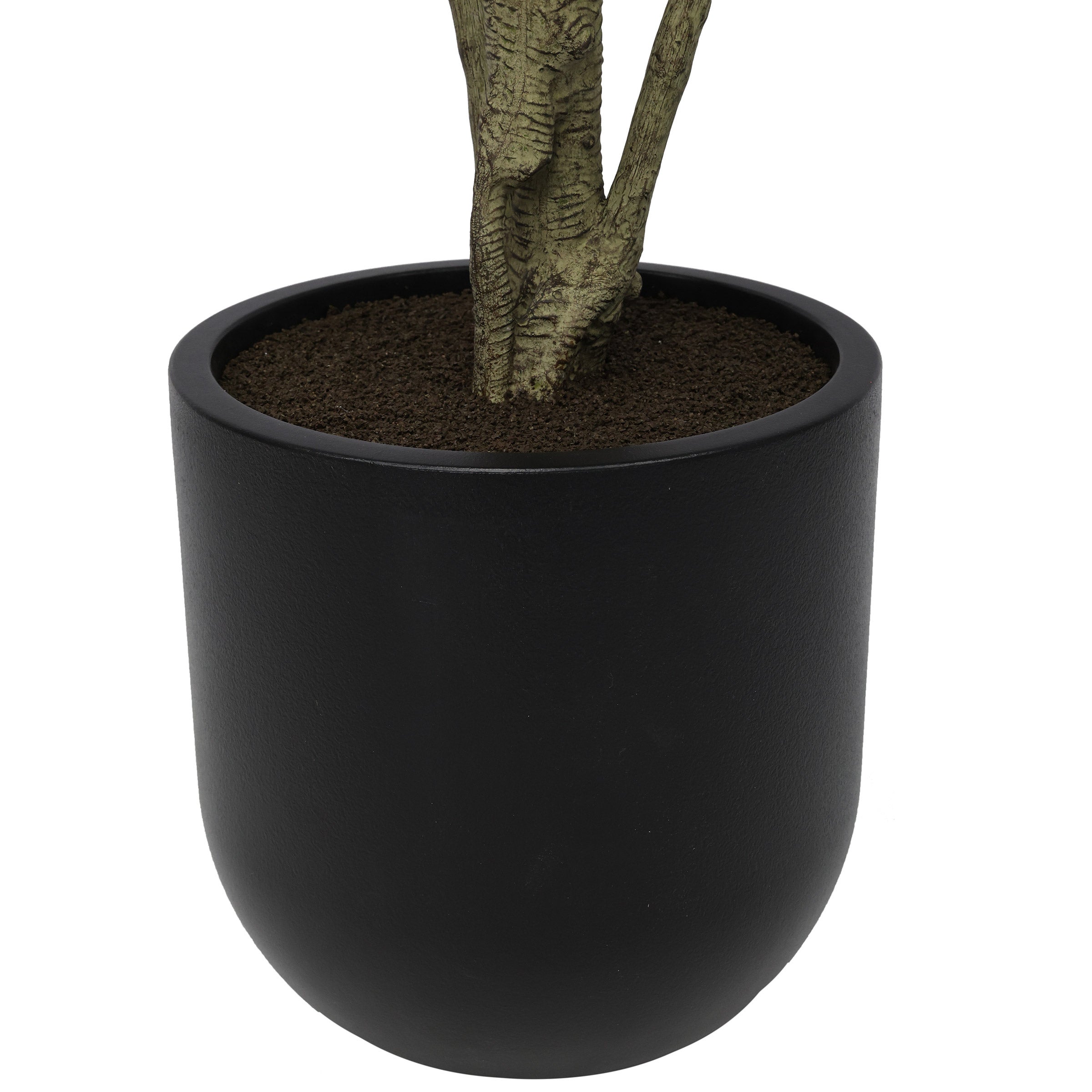 Faux 6.5' Schefflera Tree