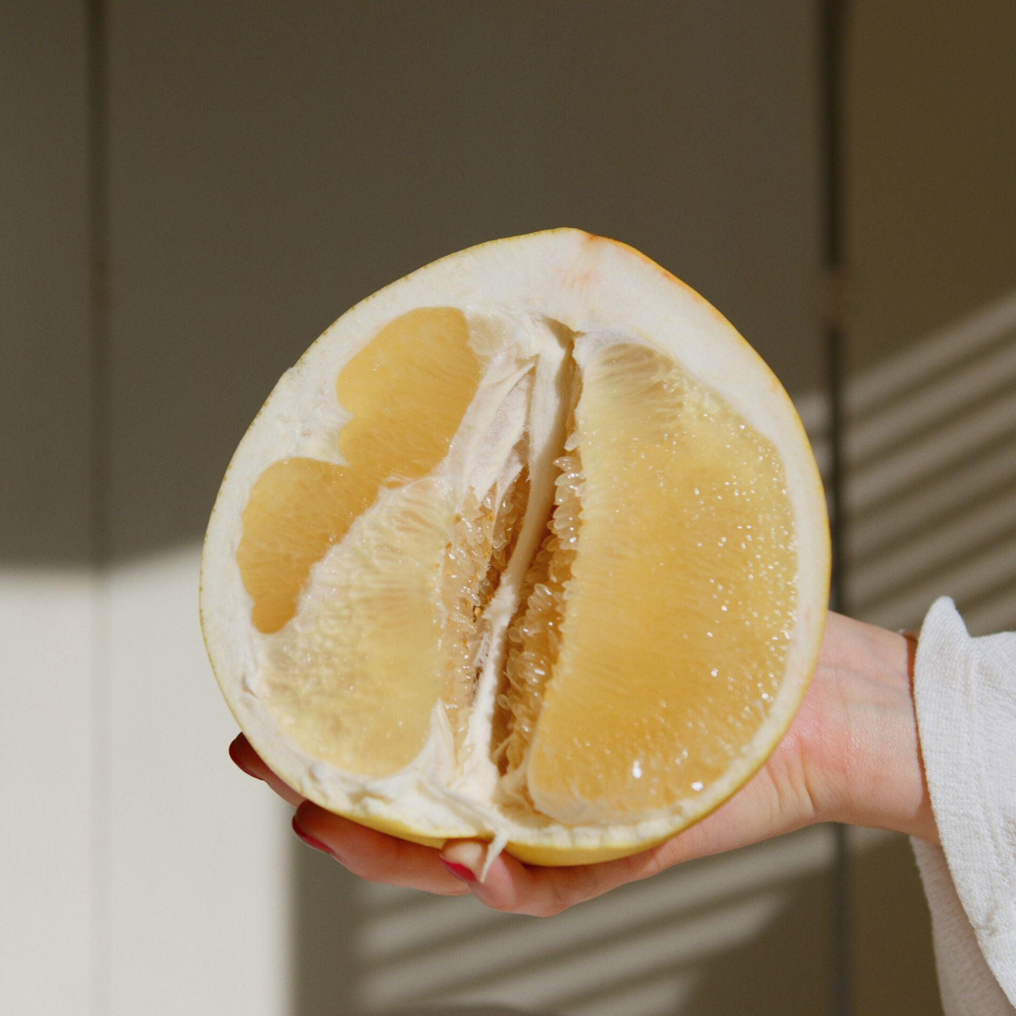 Tahitian Pomelo Semi-Dwarf Tree