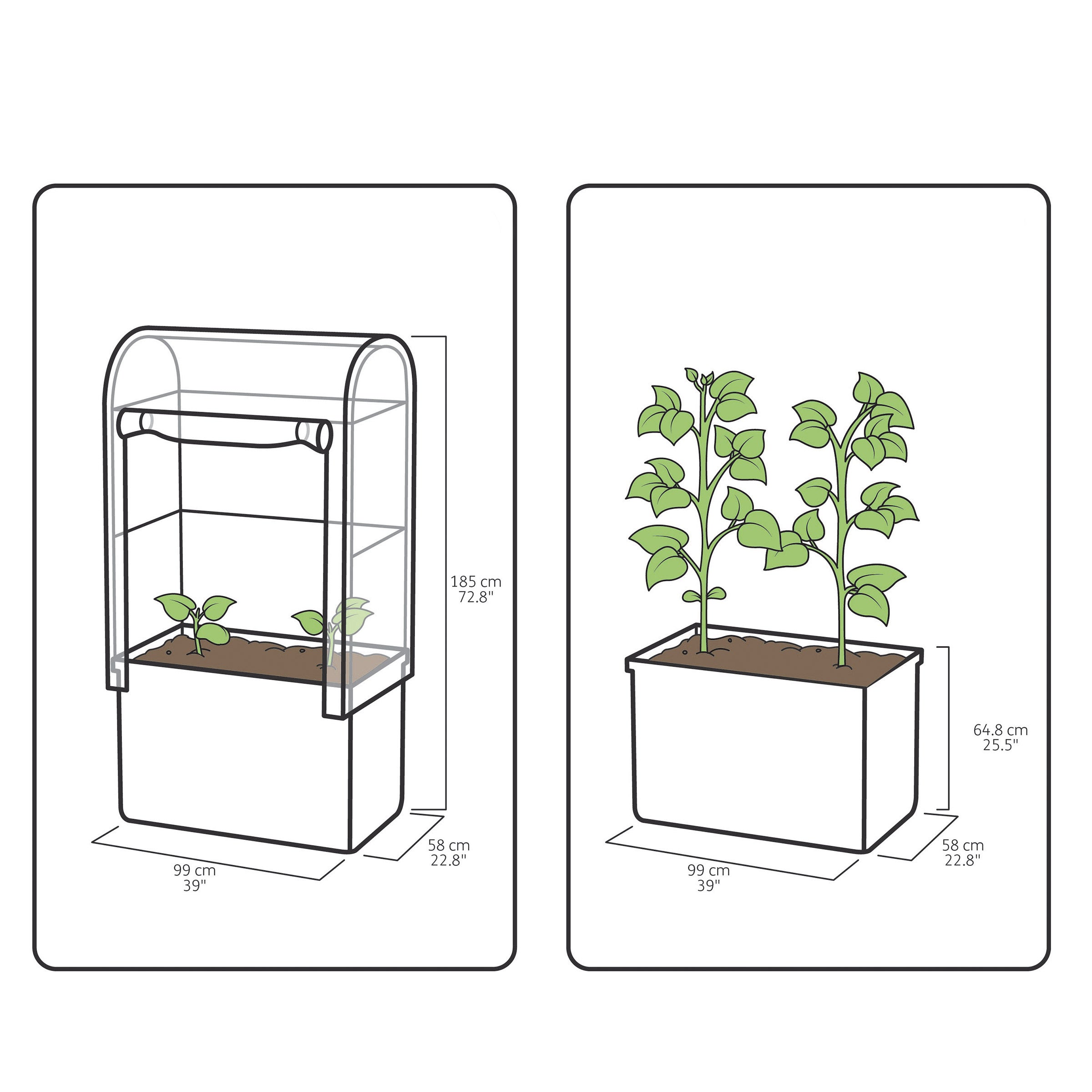 Green House Garden Bed