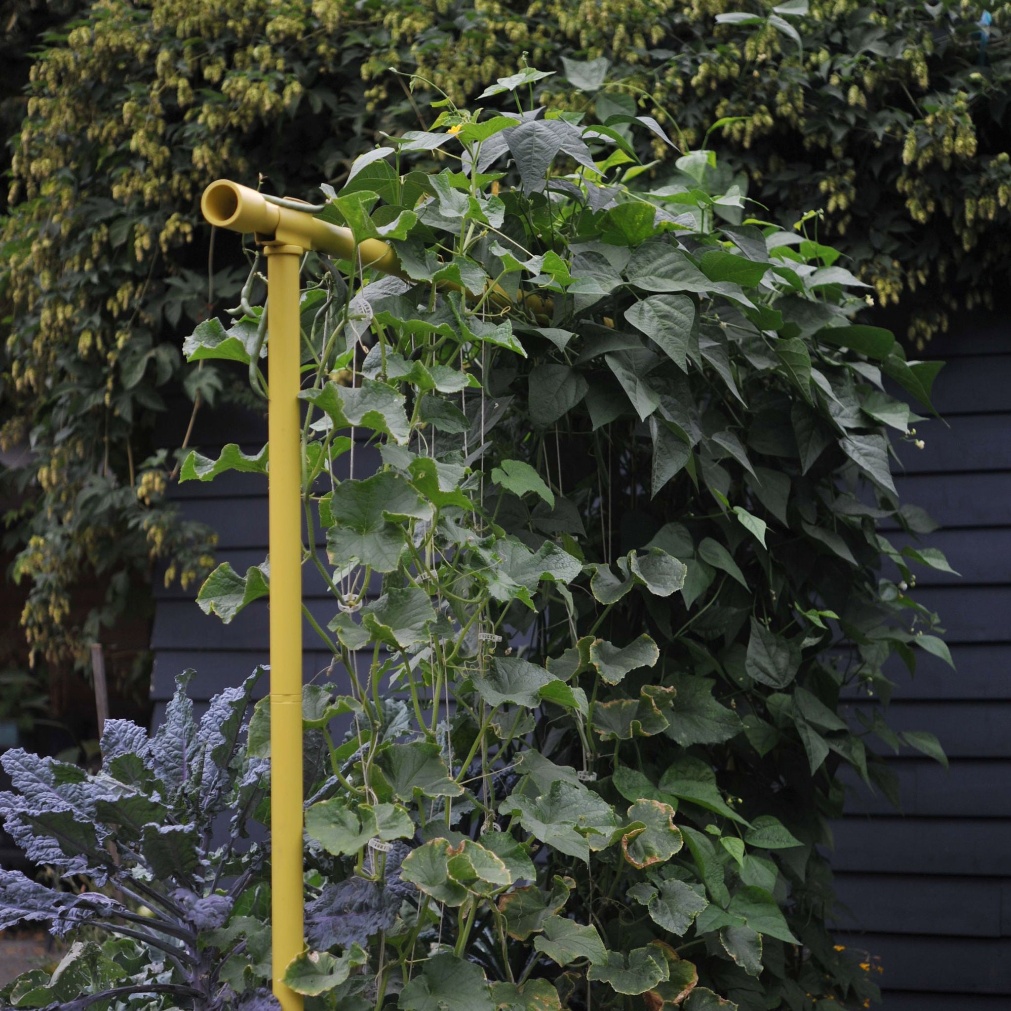 Freyr Garden Trellis Kit