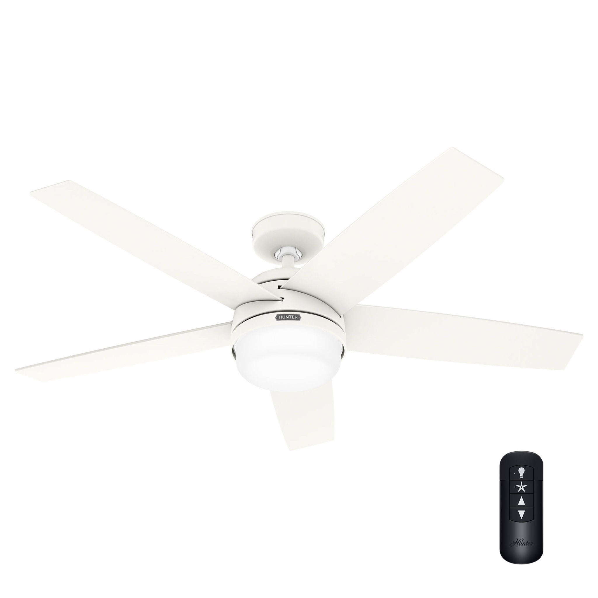 Hunter Asheville 52” Indoor/Outdoor Ceiling Fan