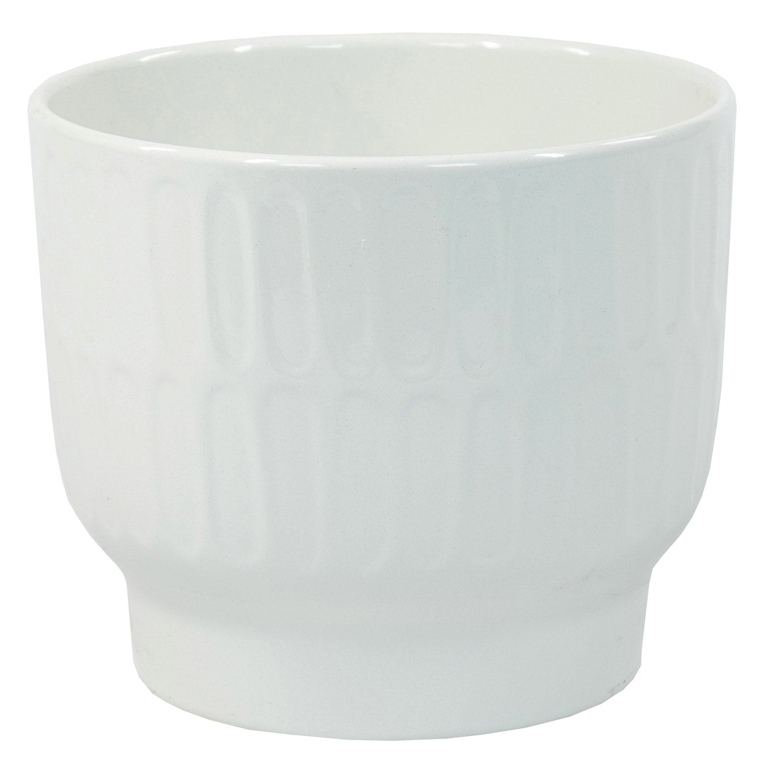 Longfield Gardens Amaryllis Bulb with Ceramic Container