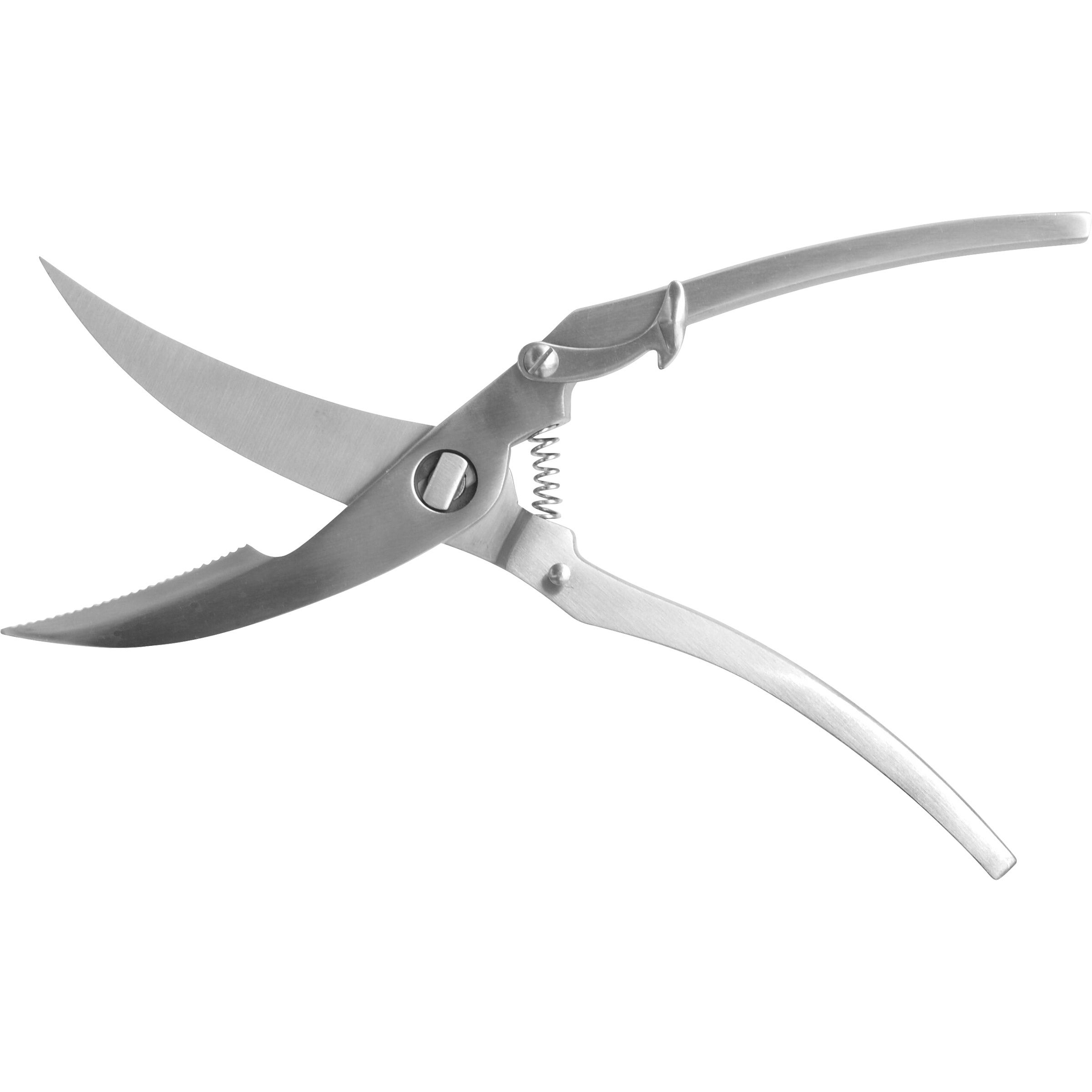 Russell International Take-Apart Poultry Shears, Stainless Steel