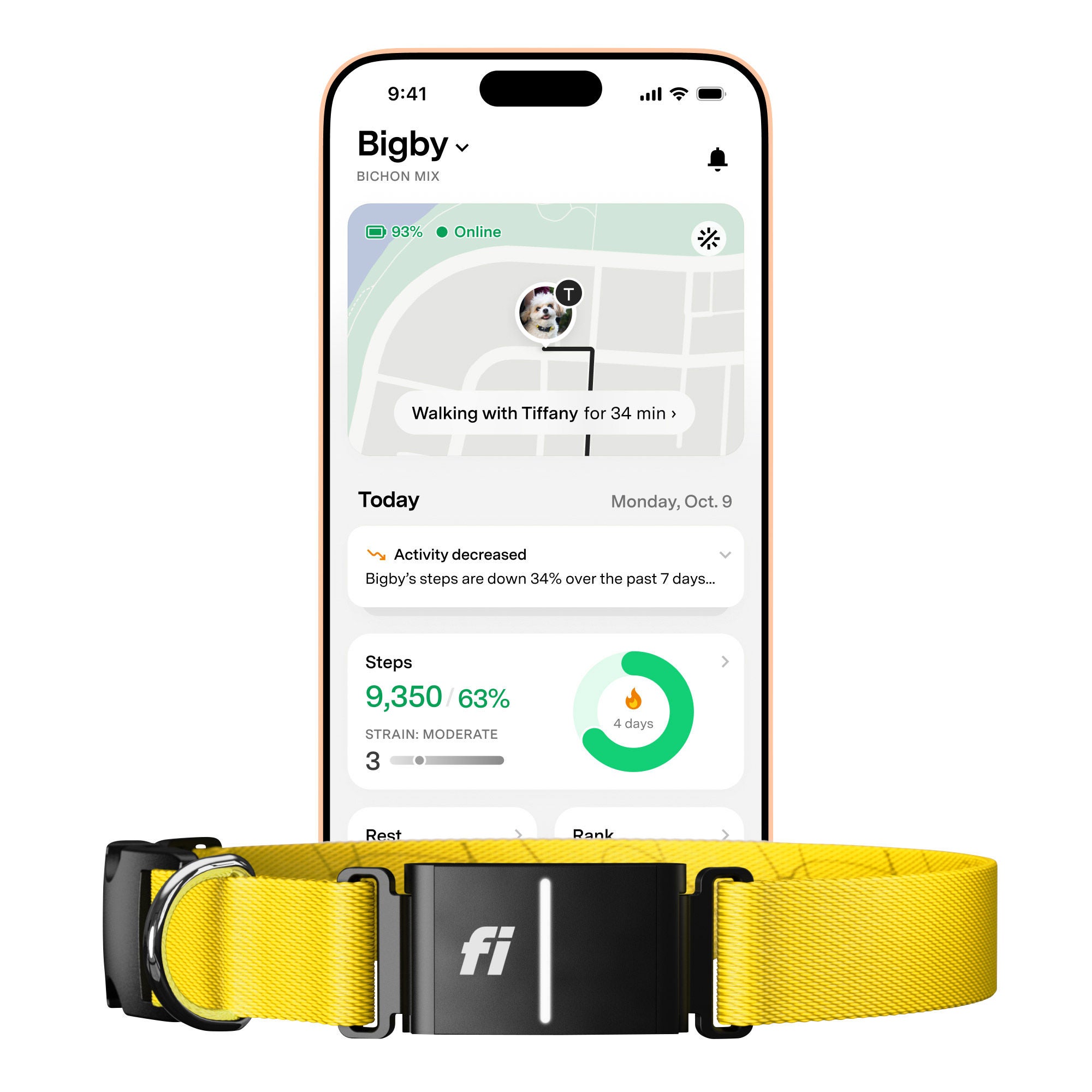 Fi Series 3+ Smart Dog Collar - GPS Tracker and Activity & Health Monitor, 14-Month Membership