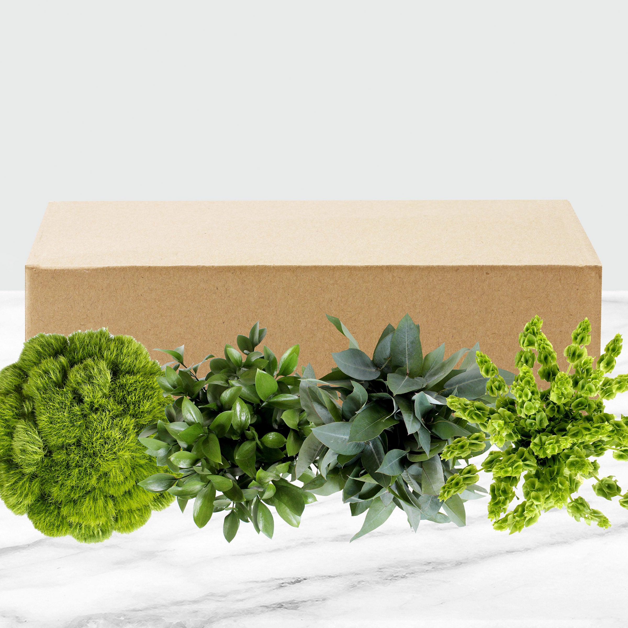 100-stem Assorted Green Fillers