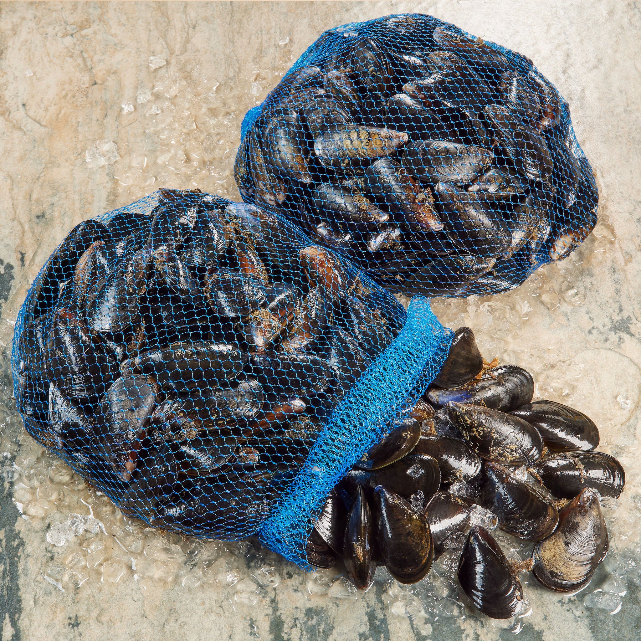 Taylor Shellfish Fresh Live Mussels, 2-pack - 5 lbs Bags, 10 lbs. Total