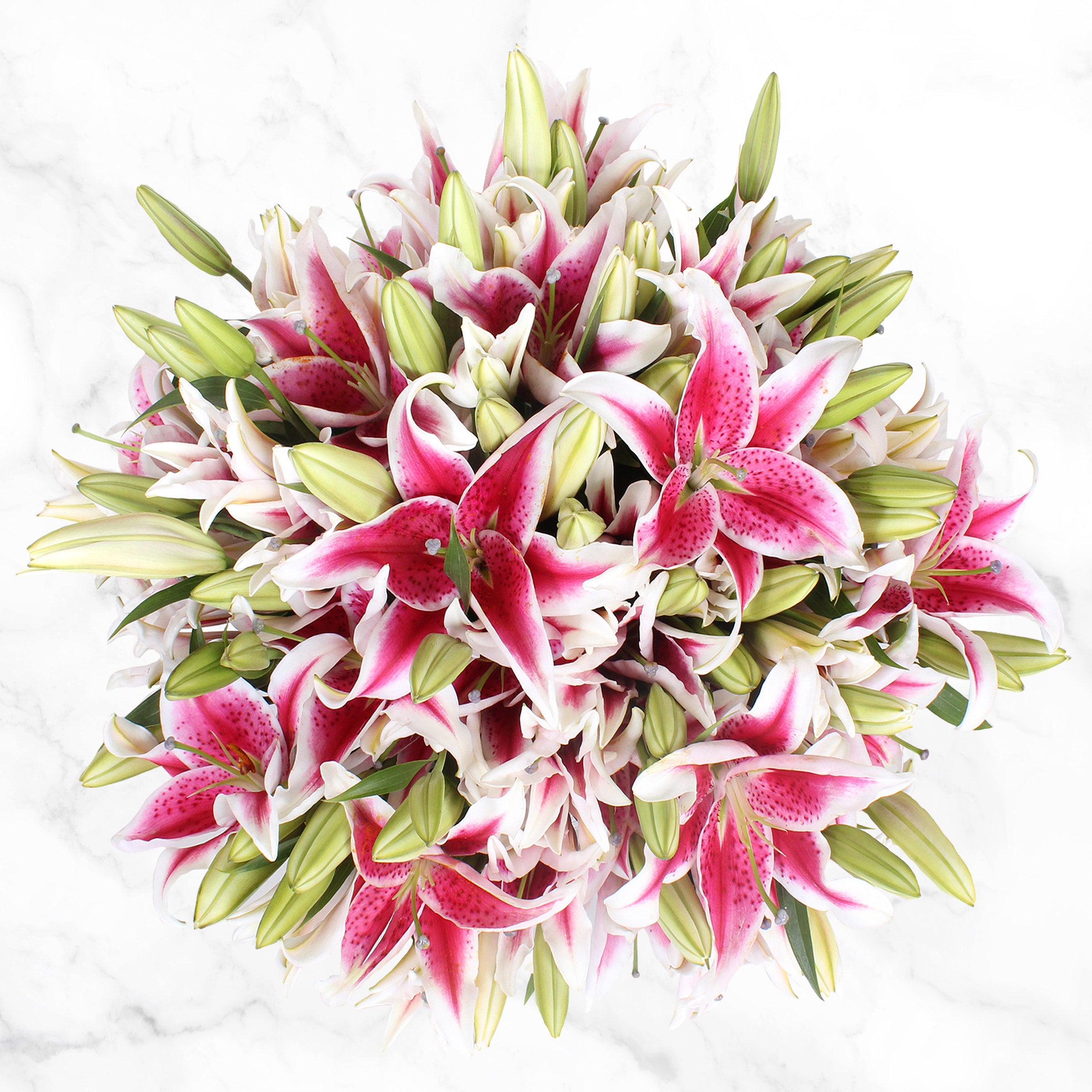 Oriental Lilies Fresh Cut Floral Bouquet, 40-stems