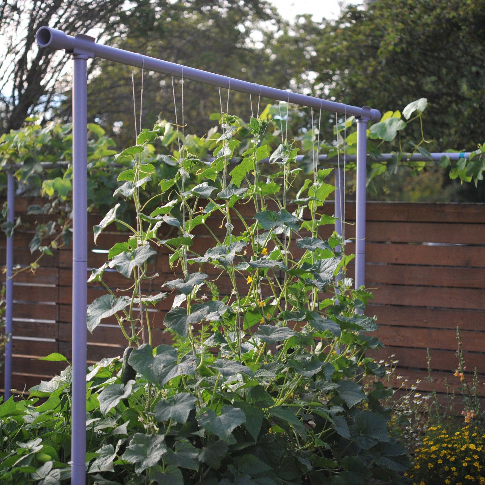 Freyr Garden Trellis Kit