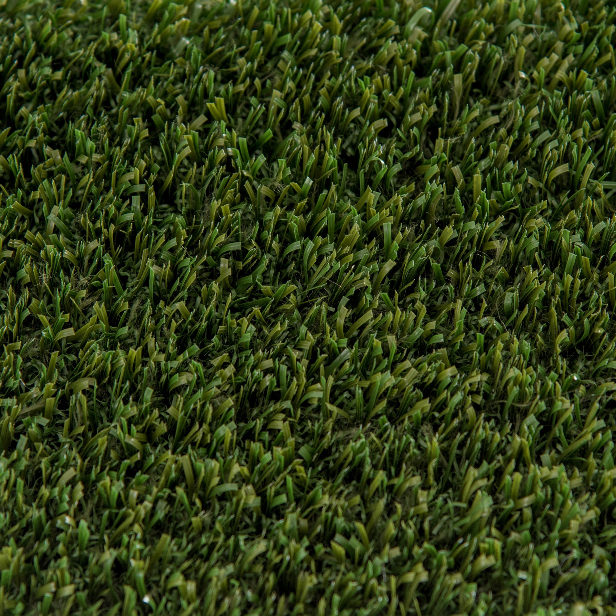 Pregra Artificial Pet Turf