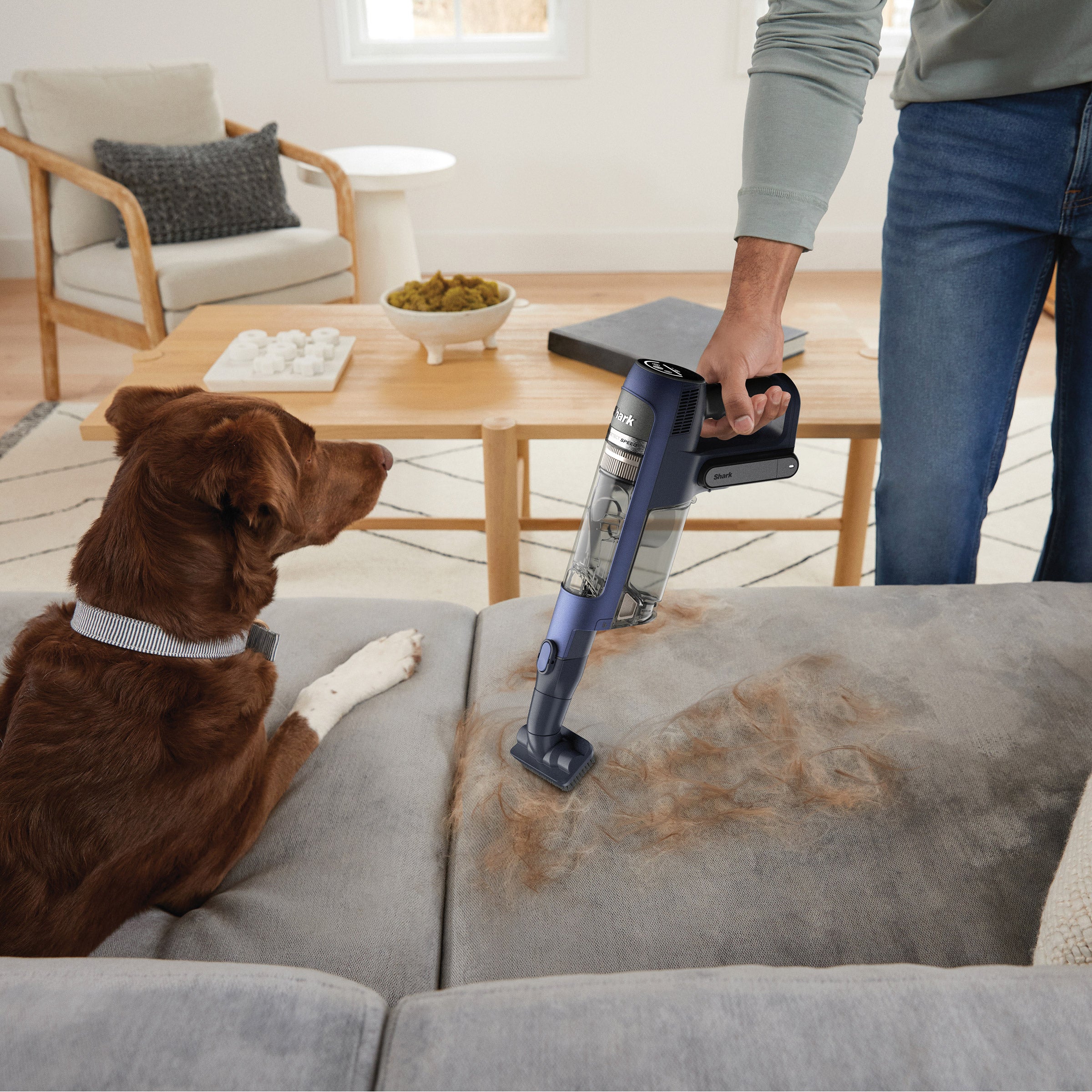Shark PowerDetect Speed Clean and Empty Cordless Stick Vacuum with Auto-Empty System