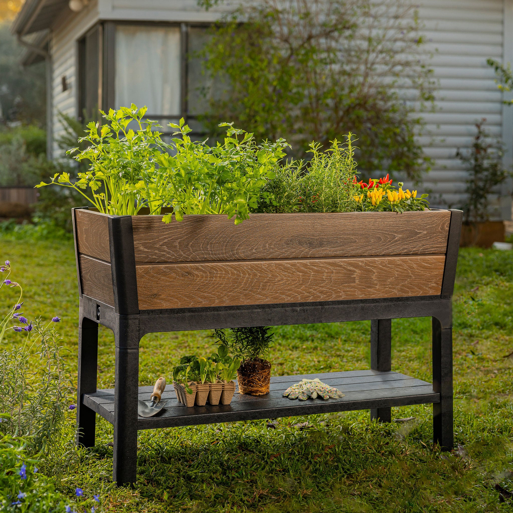 Walnut Elevated Garden Bed