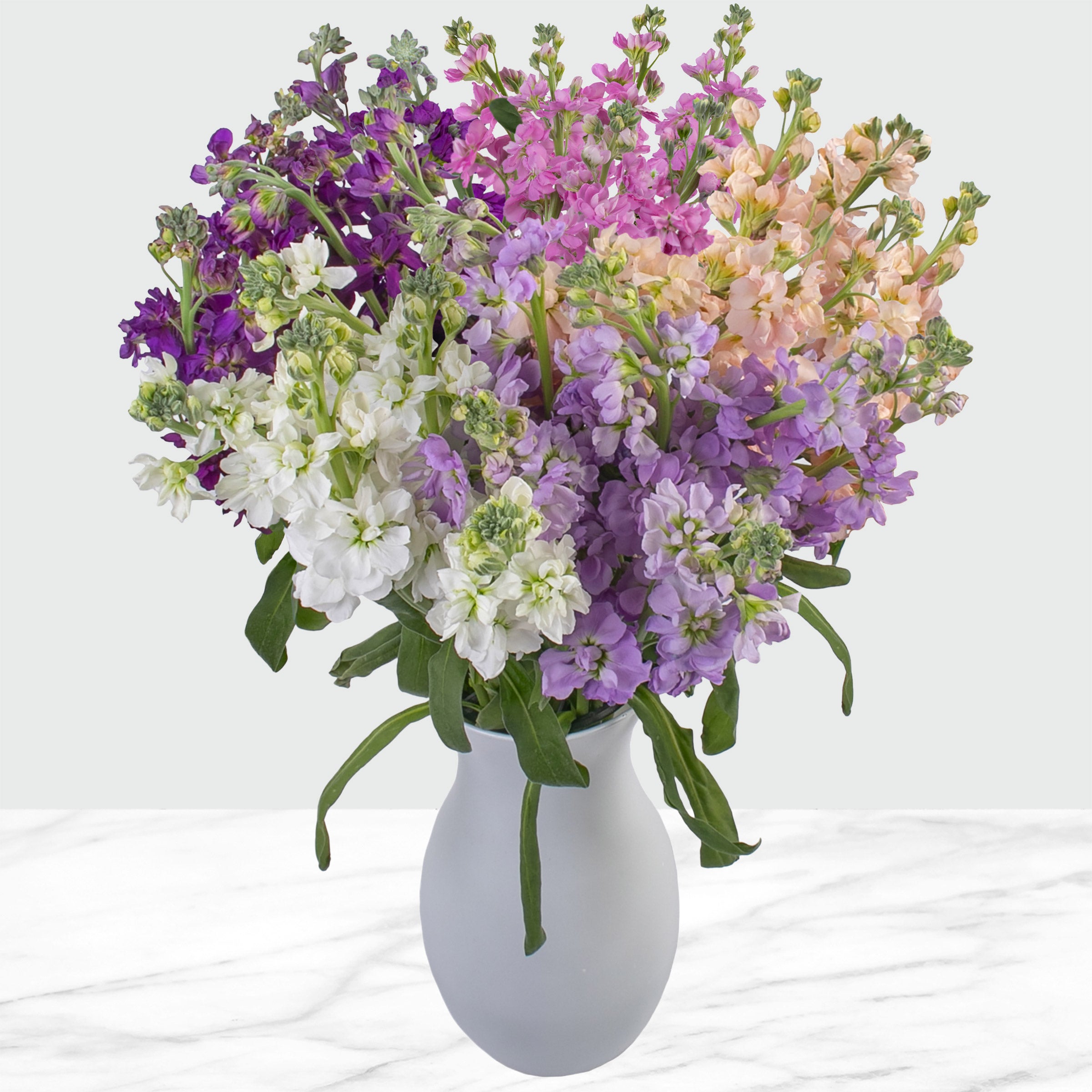 Bulk Flowers Stock, 100-Stems