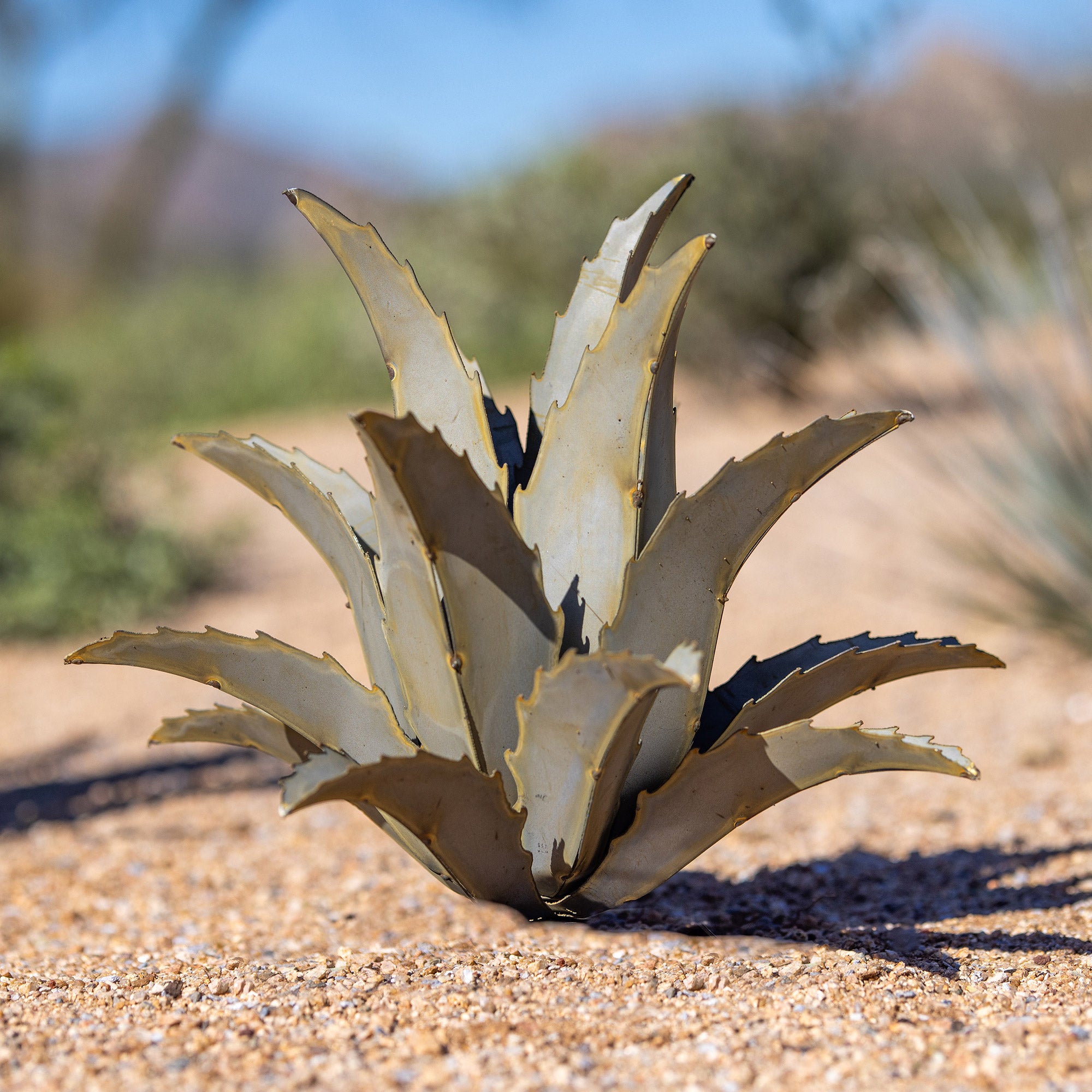 Americana Agave Sculpture by Desert Steel