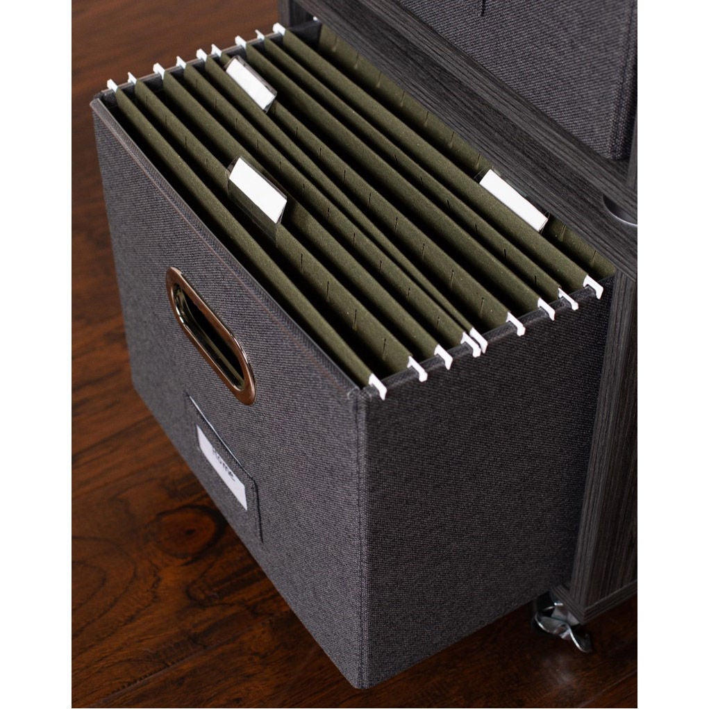 BirdRock Home 2-pack Rolling File Storage Cube Set