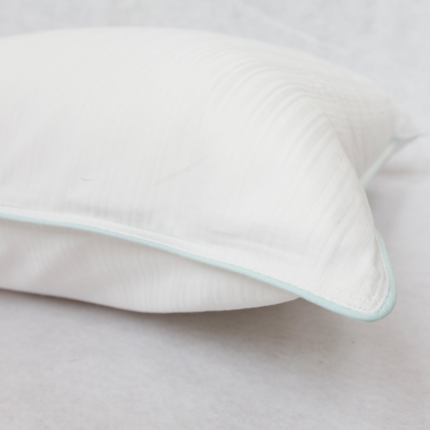 PrimaLoft®Plus Nano-tex® Pillows, 2-Pack
