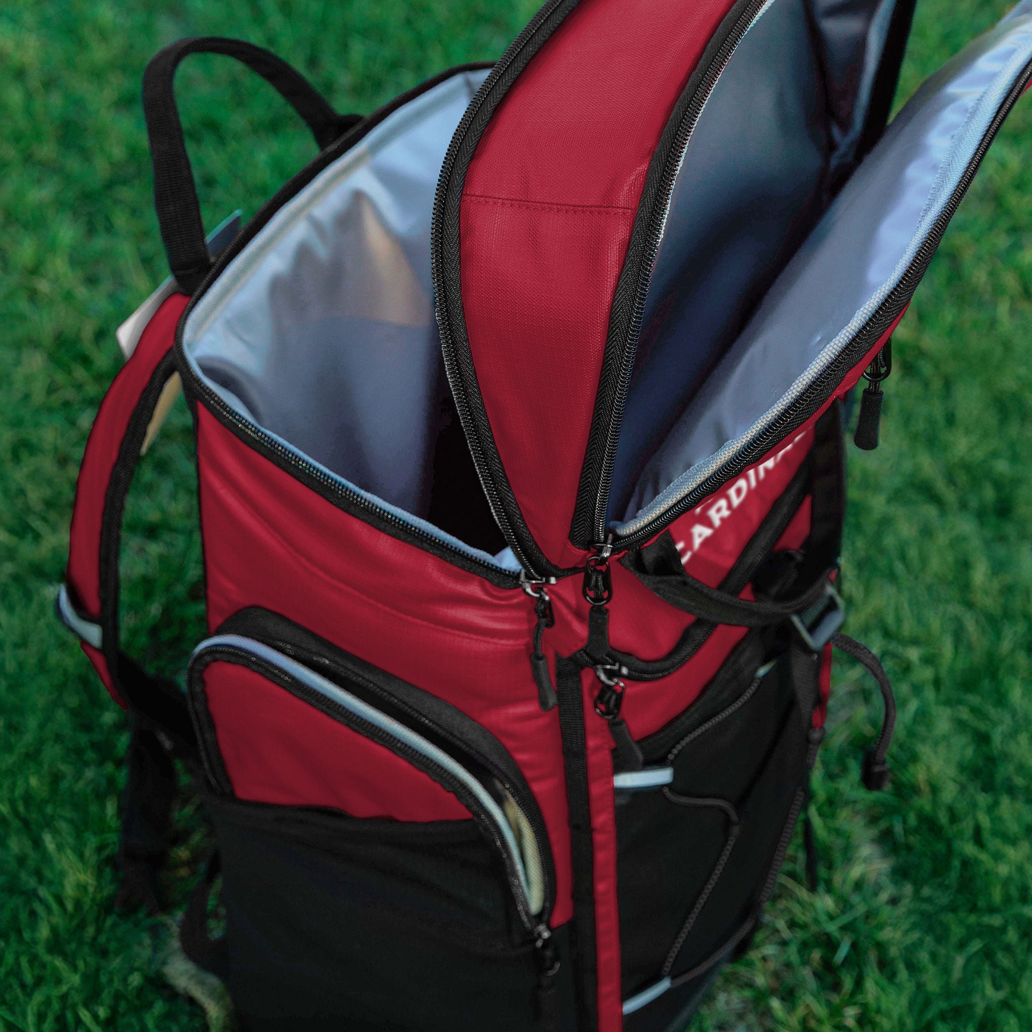 NFL 26-can Backpack Cooler