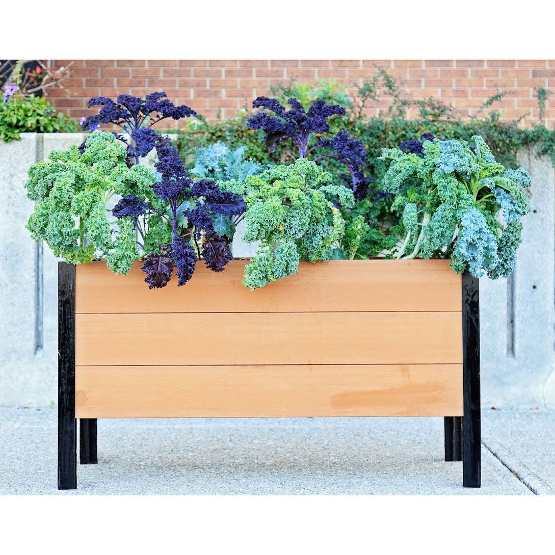 Vita Greens Urban Garden Bed