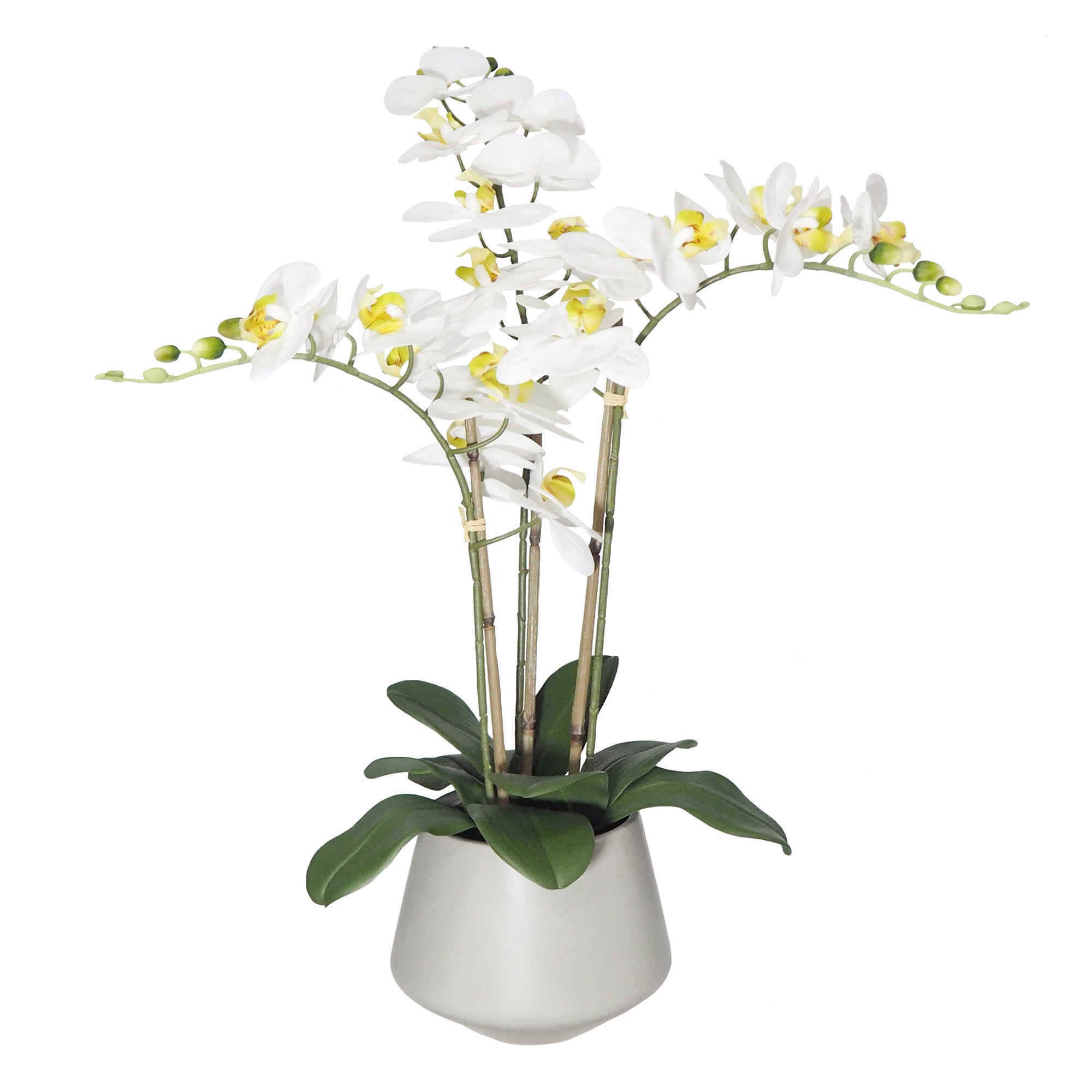 Faux Orchid