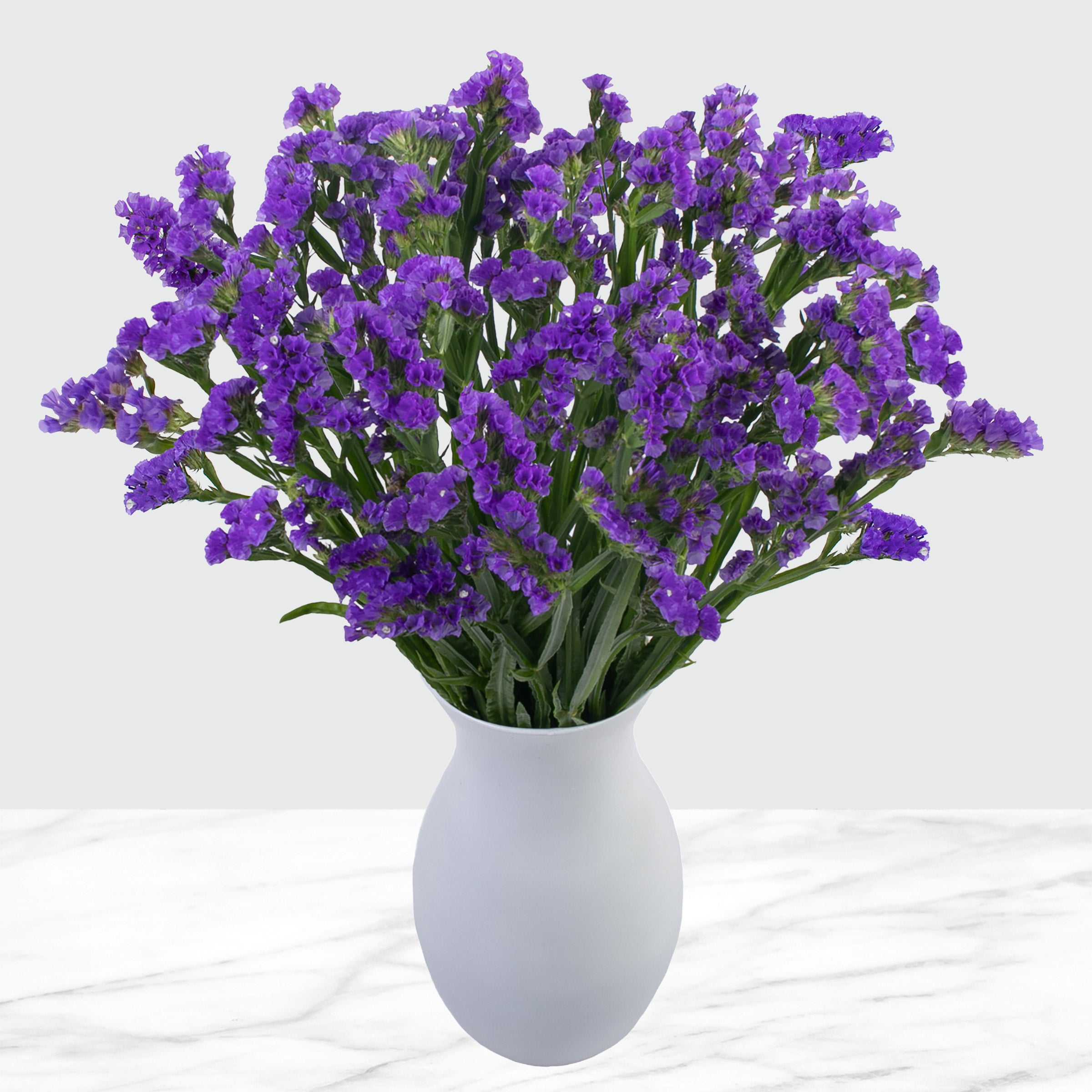 120-stem Purple Statice