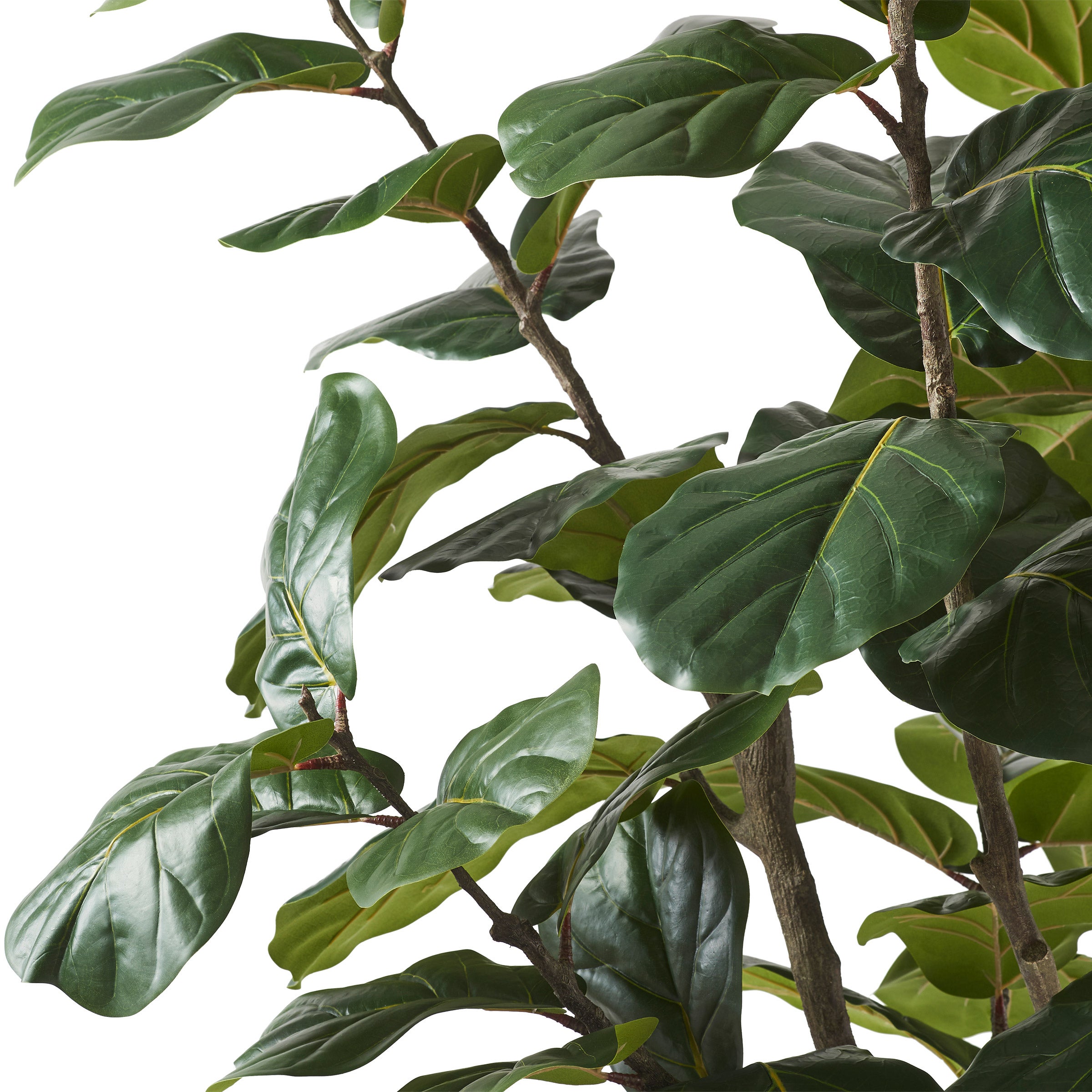 Faux 10’ Fiddle Leaf Fig Tree