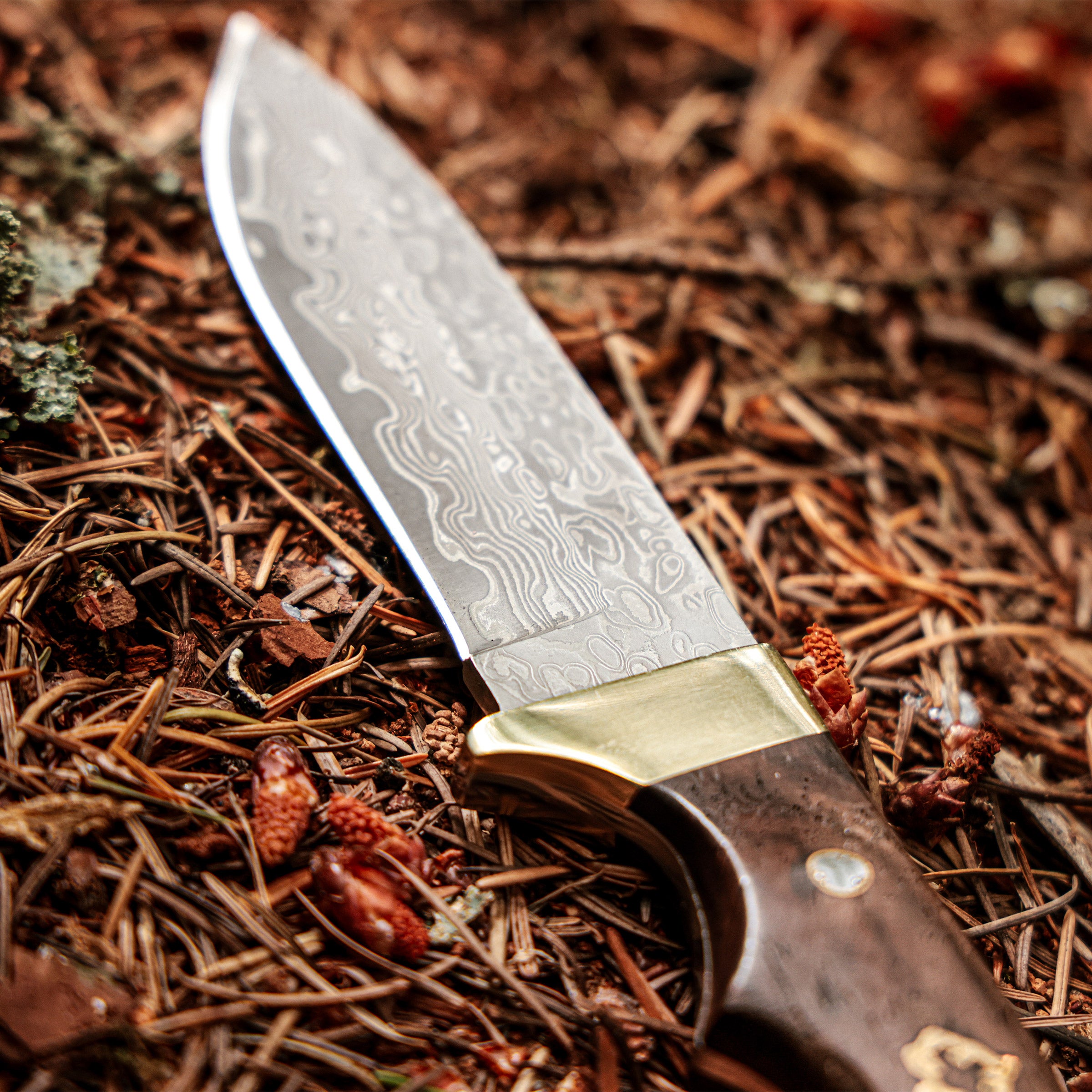 Puma XP Blacktail Damascus Knife
