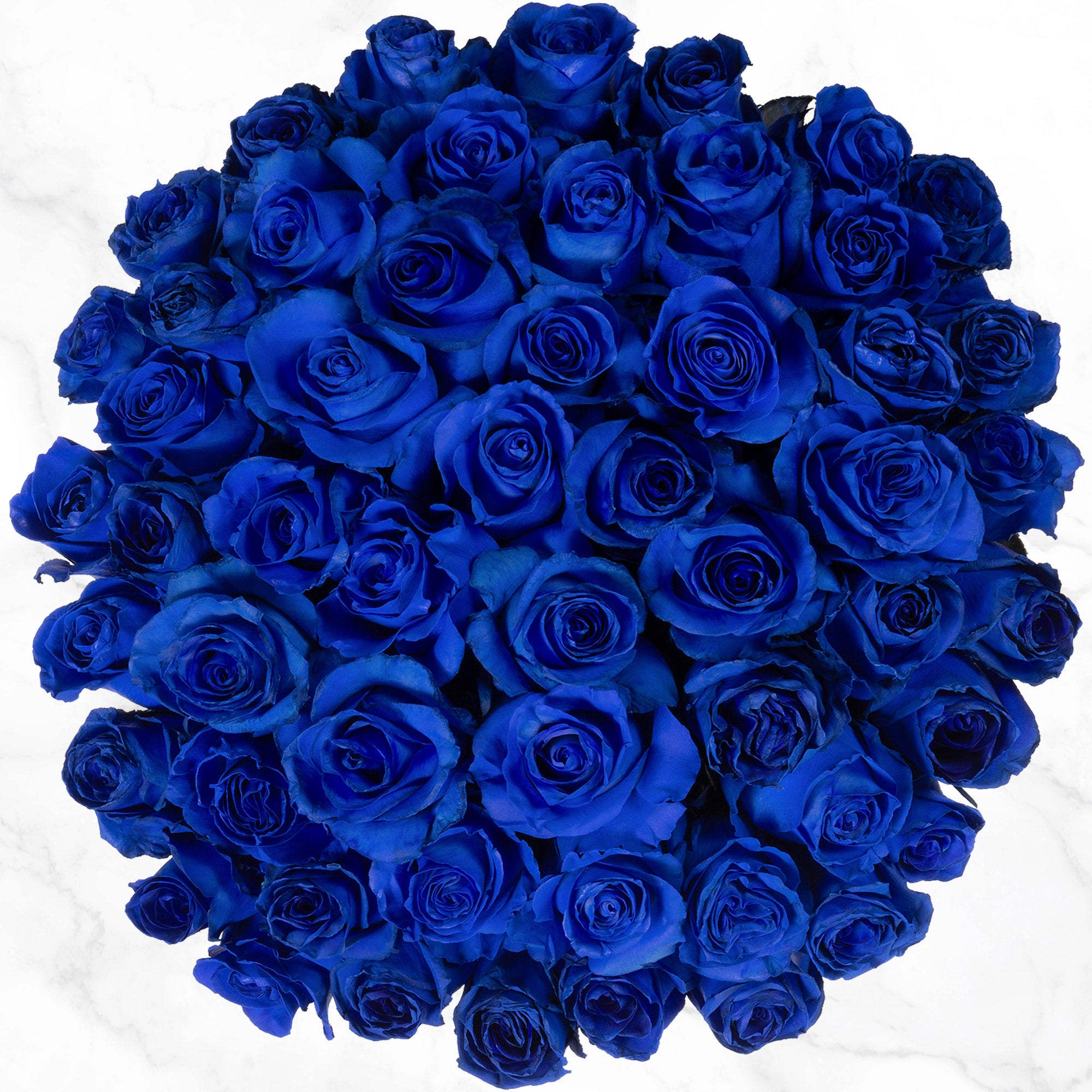 50-stem Blue Roses